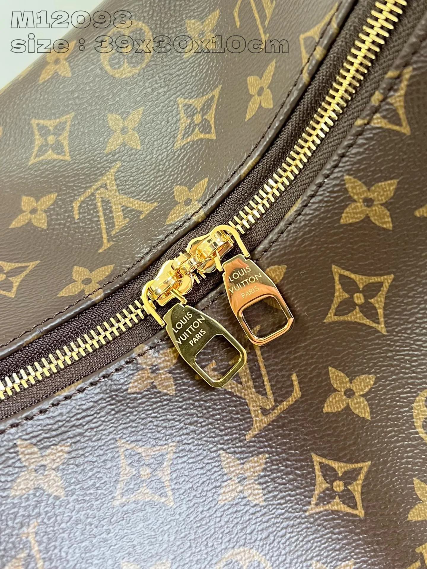 Louis Vuitton Slouchy MM M12098 - 图片 10