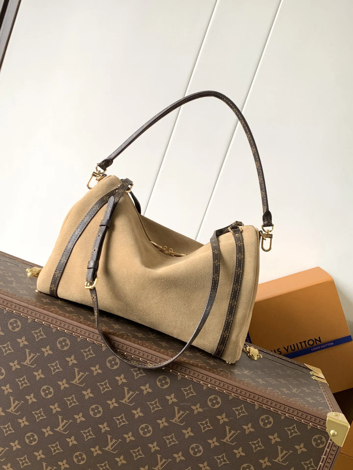 Louis Vuitton Express MM M26358 - 图片 5