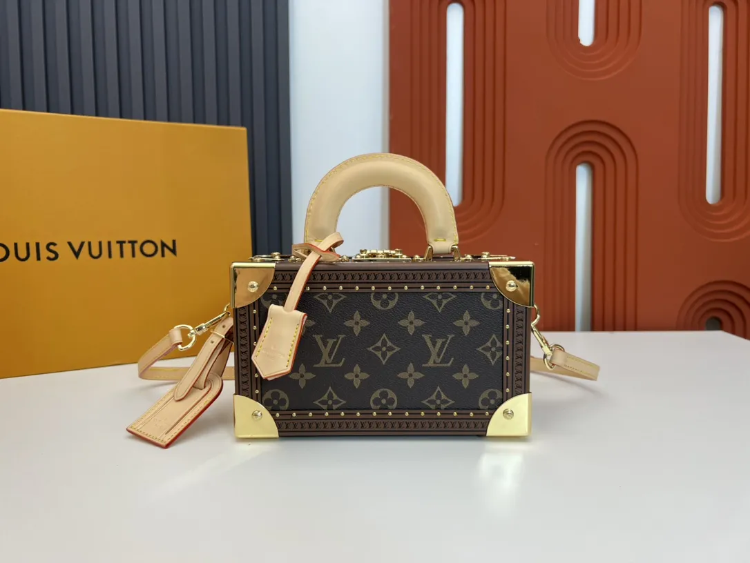 Louis Vuitton Valisette Tresor M45673 - 图片 3