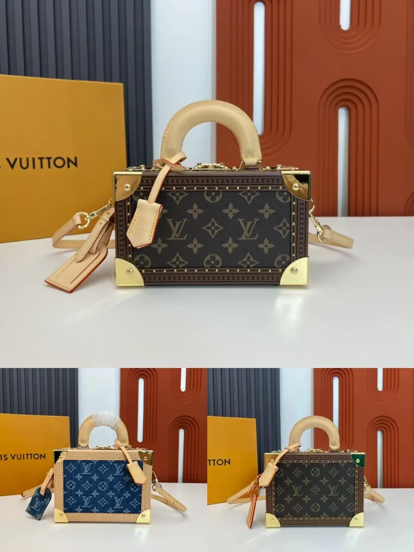 Louis Vuitton Valisette Tresor M45673 - 图片 4