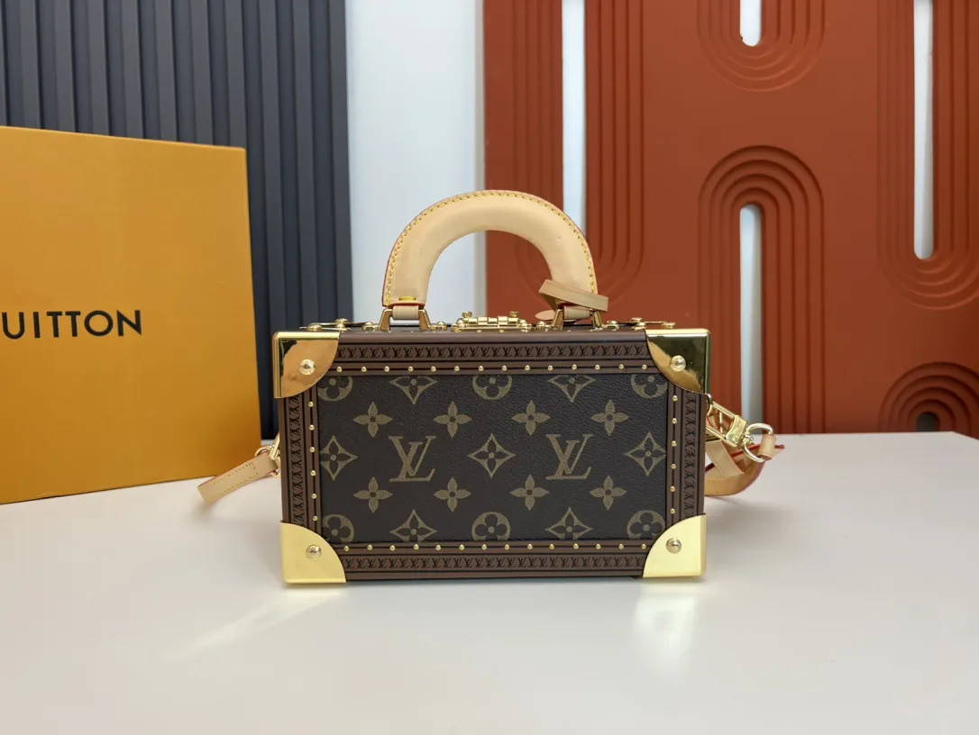 Louis Vuitton Valisette Tresor M45673 - 图片 6