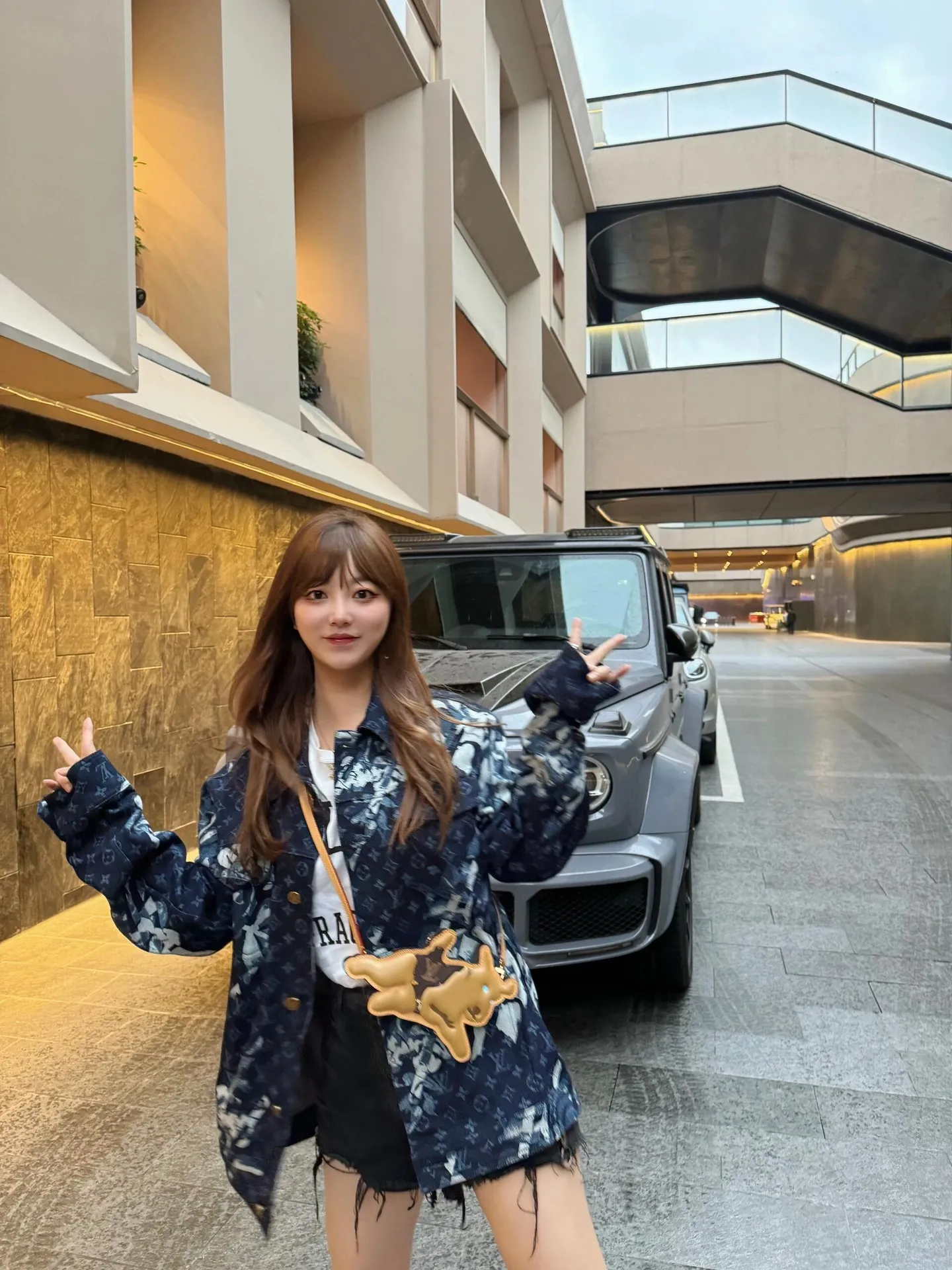 Louis Vuitton Dog On Strap M83342 - 图片 7