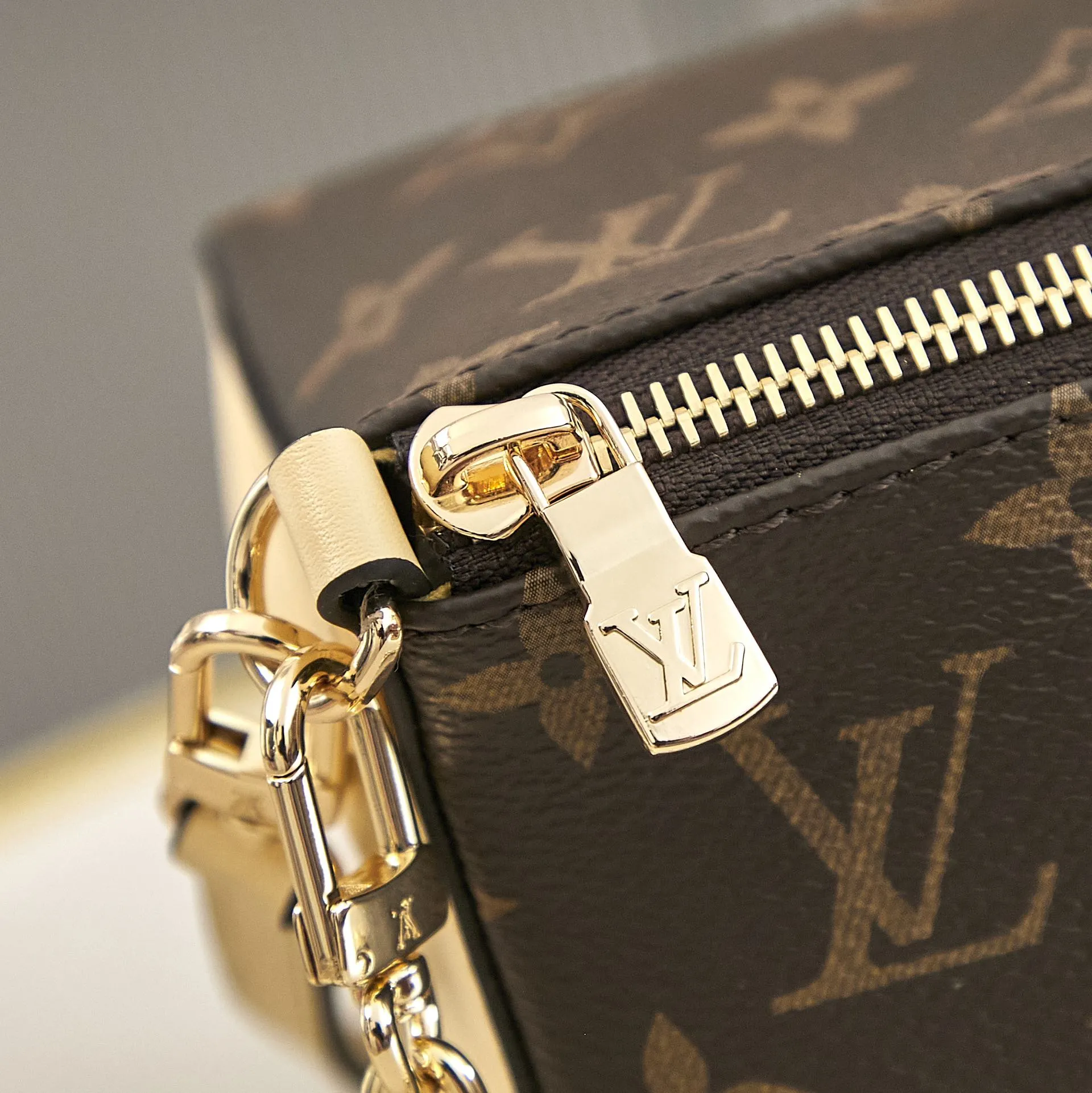 Louis Vuitton Bloom Pouch M11672 - 图片 6