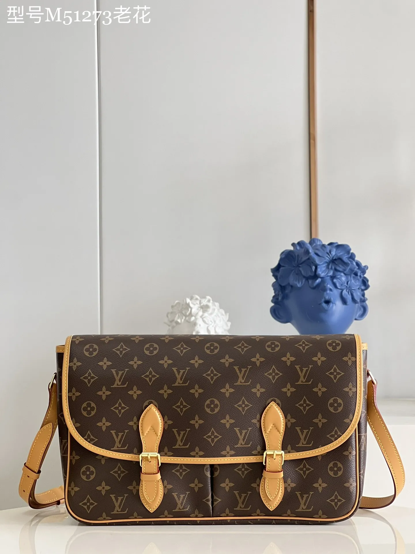 Louis Vuitton Gibeciere MM M51273 - 图片 3