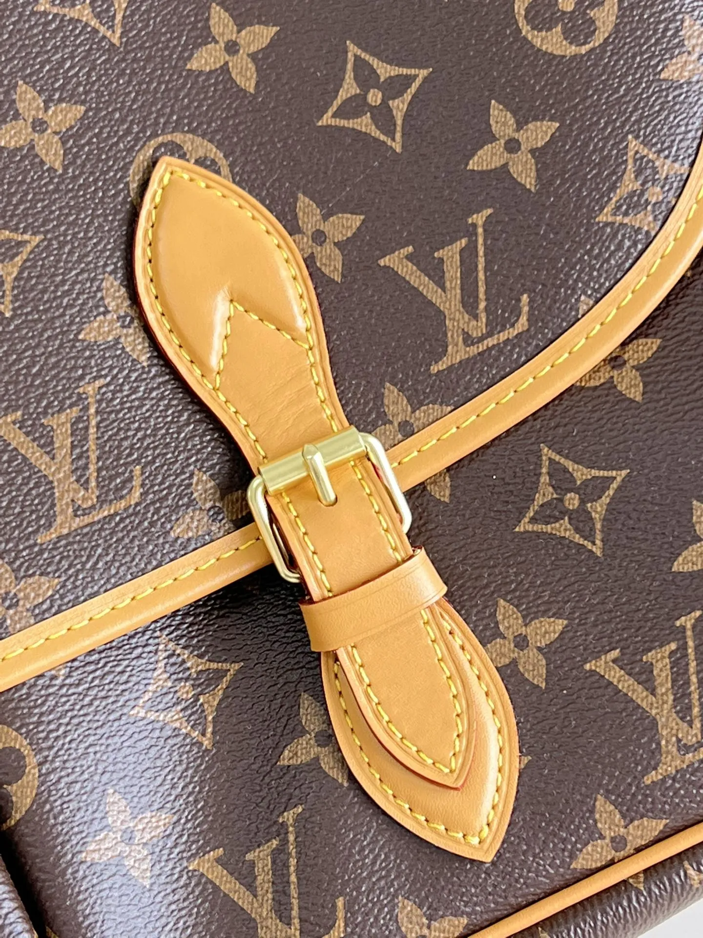 Louis Vuitton Gibeciere MM M51273 - 图片 5