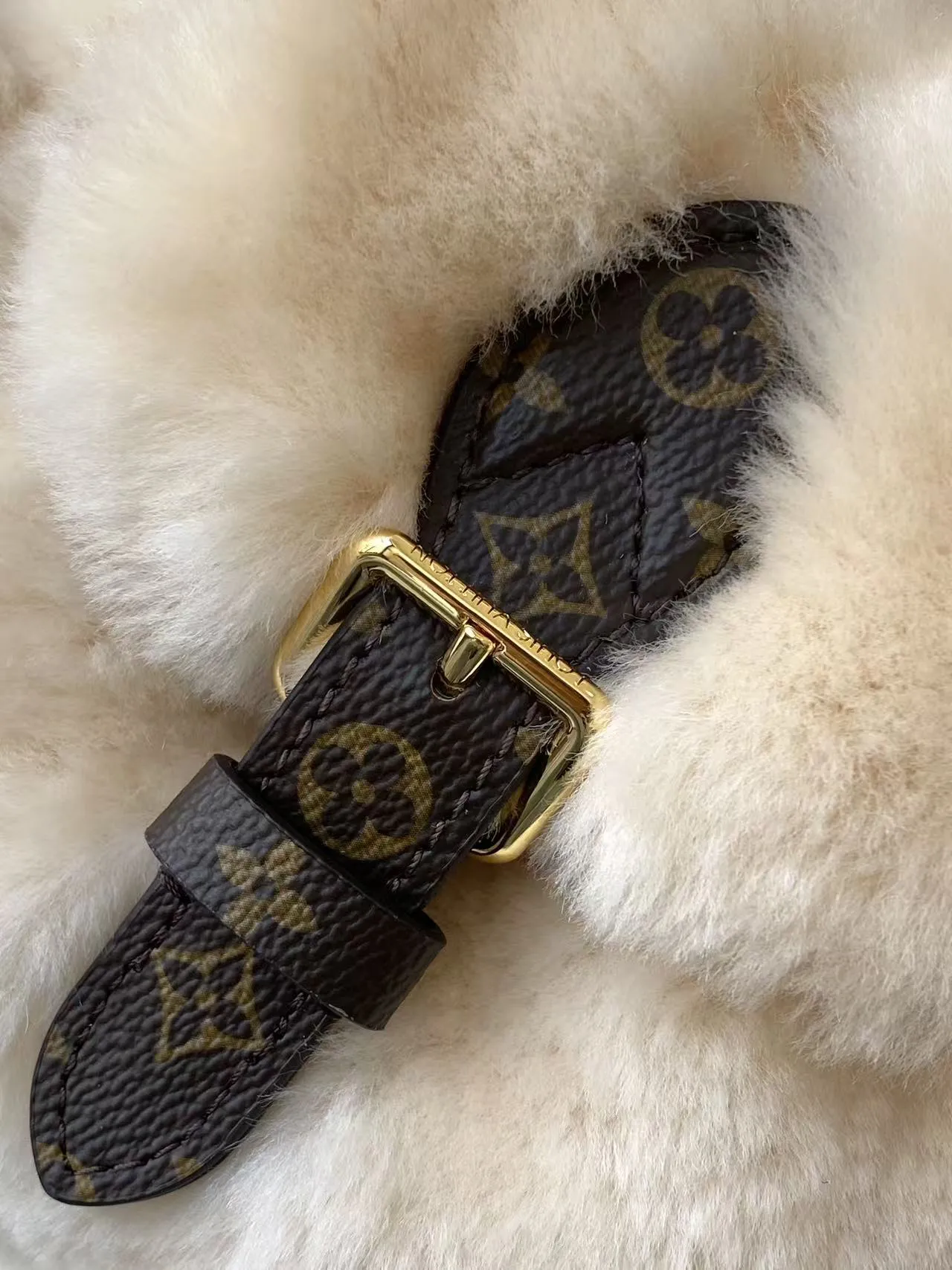 Louis Vuitton Nano Teddy Backpack M11919 - 图片 7