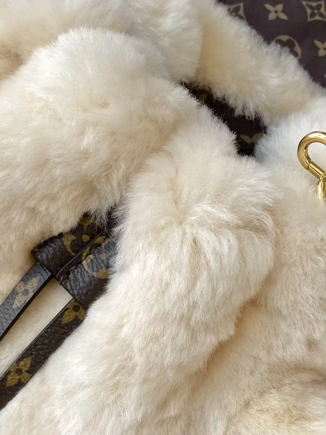 Louis Vuitton Nano Teddy Backpack M11919 - 图片 9