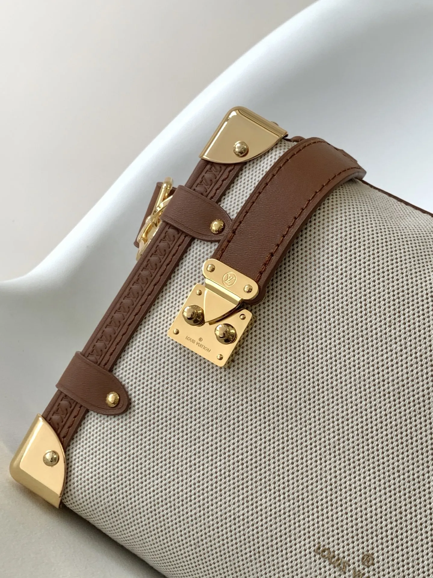 Louis Vuitton Side Trunk MM M14411 - 图片 7
