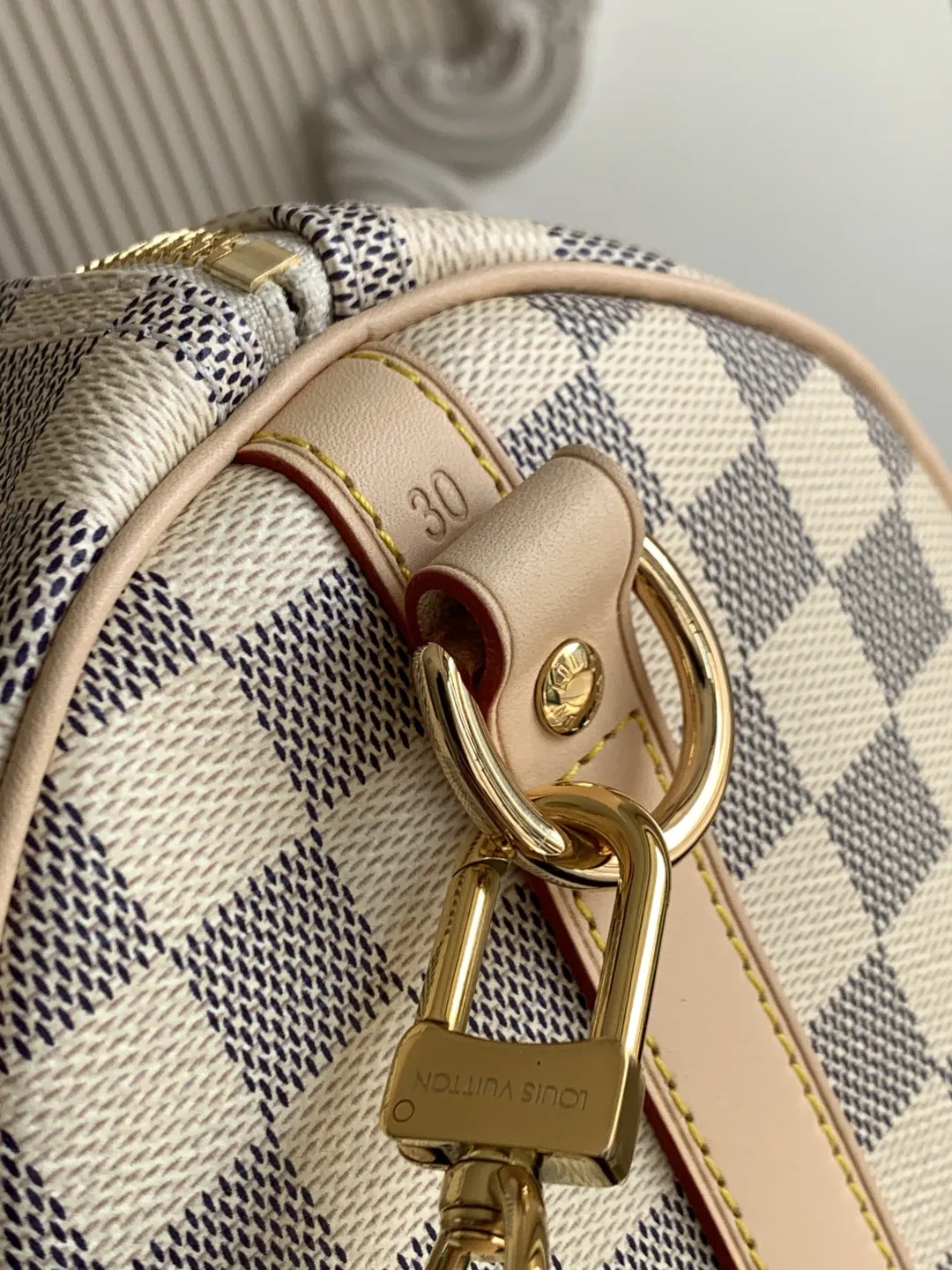Louis Vuitton Speedy Bandoulière 30 N40592 - 图片 6