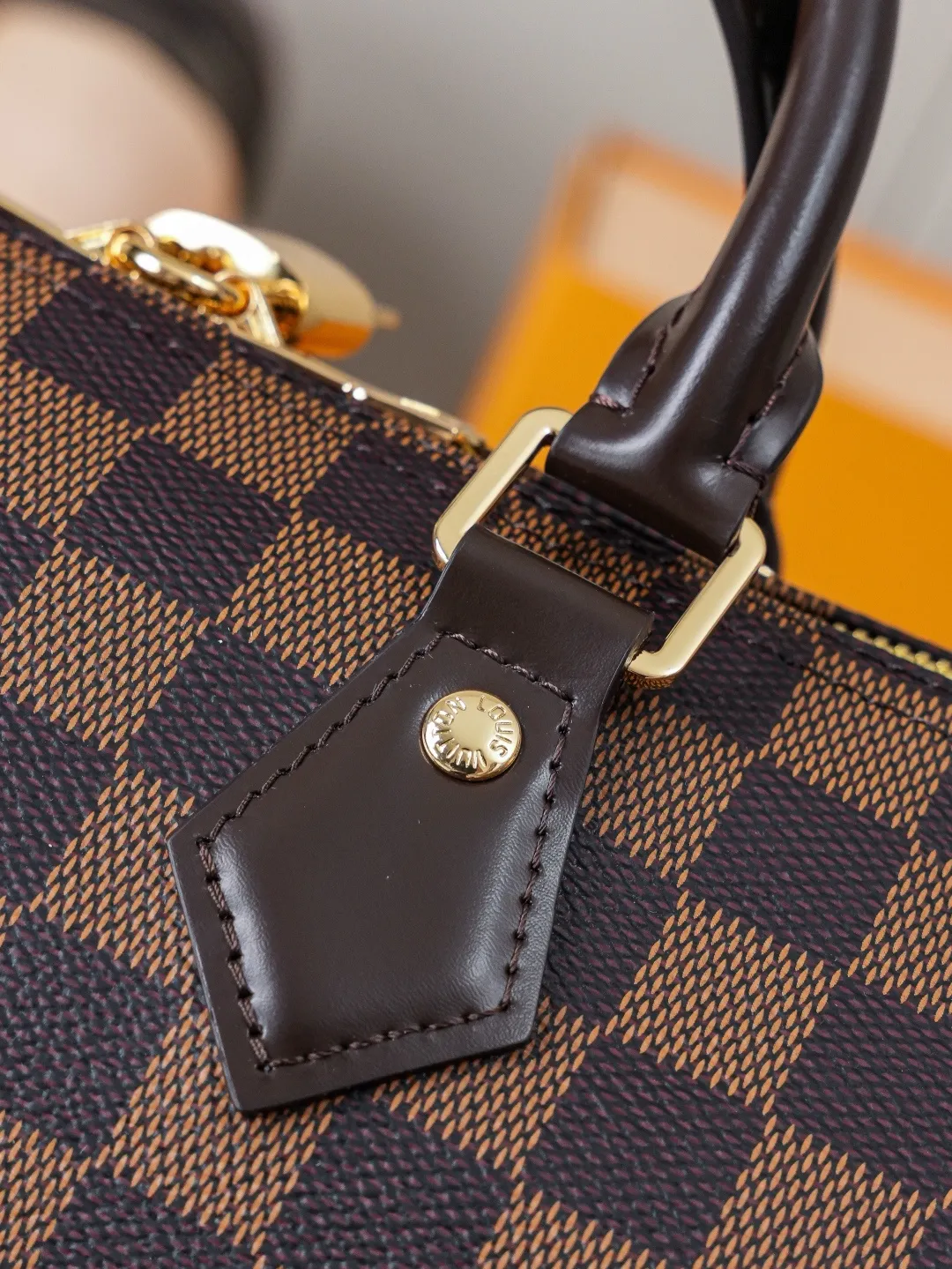 Louis Vuitton Speedy Bandoulière 25 N40575 - 图片 3
