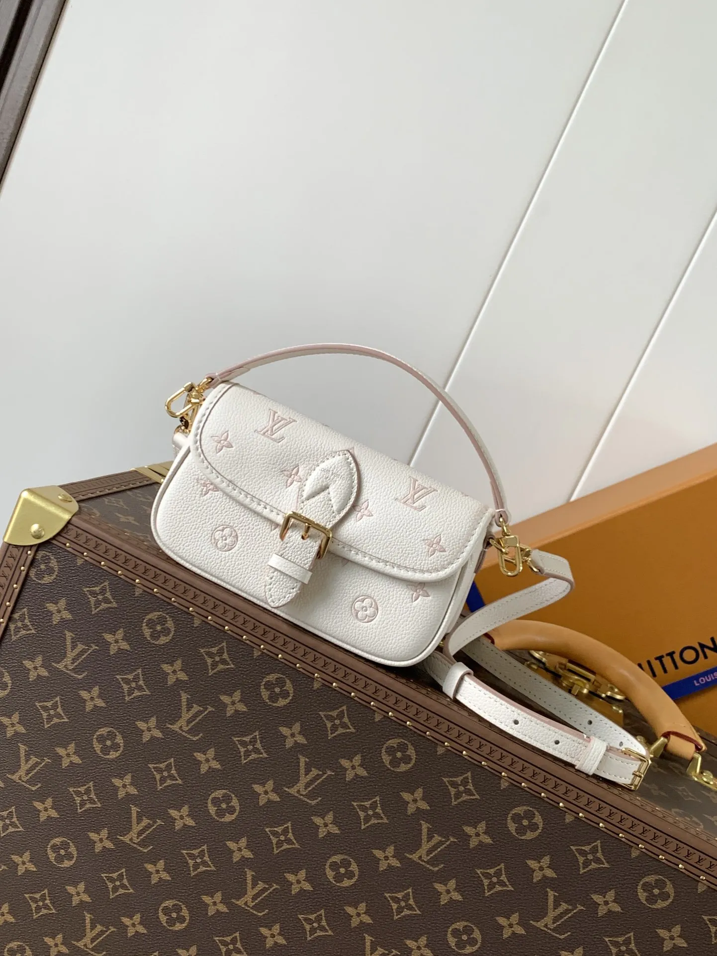Louis Vuitton Nano Diane M13642 - 图片 2