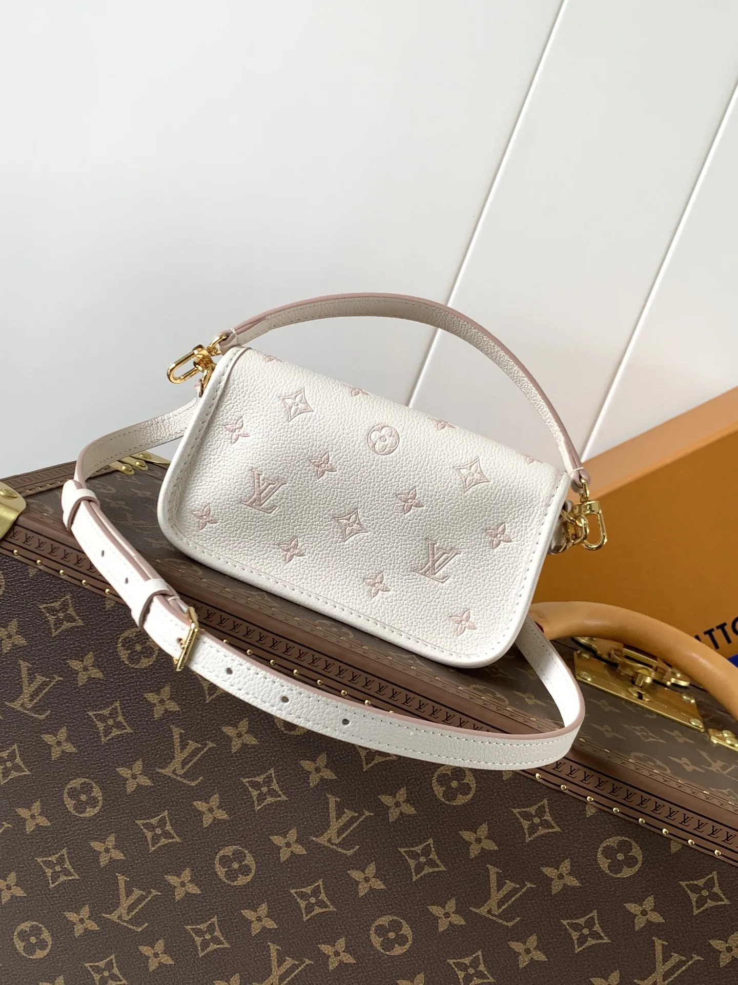 Louis Vuitton Nano Diane M13642 - 图片 4
