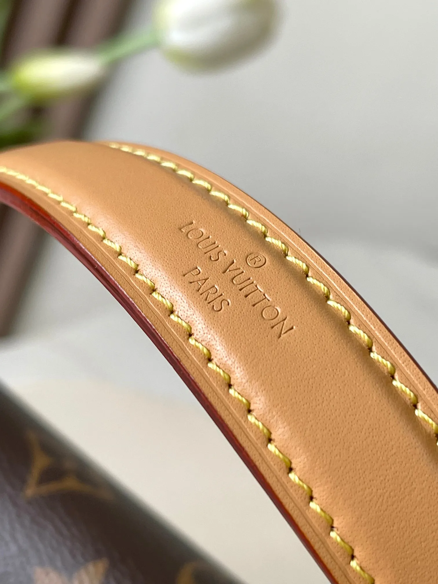 Louis Vuitton Nano Diane M83298 - 图片 9