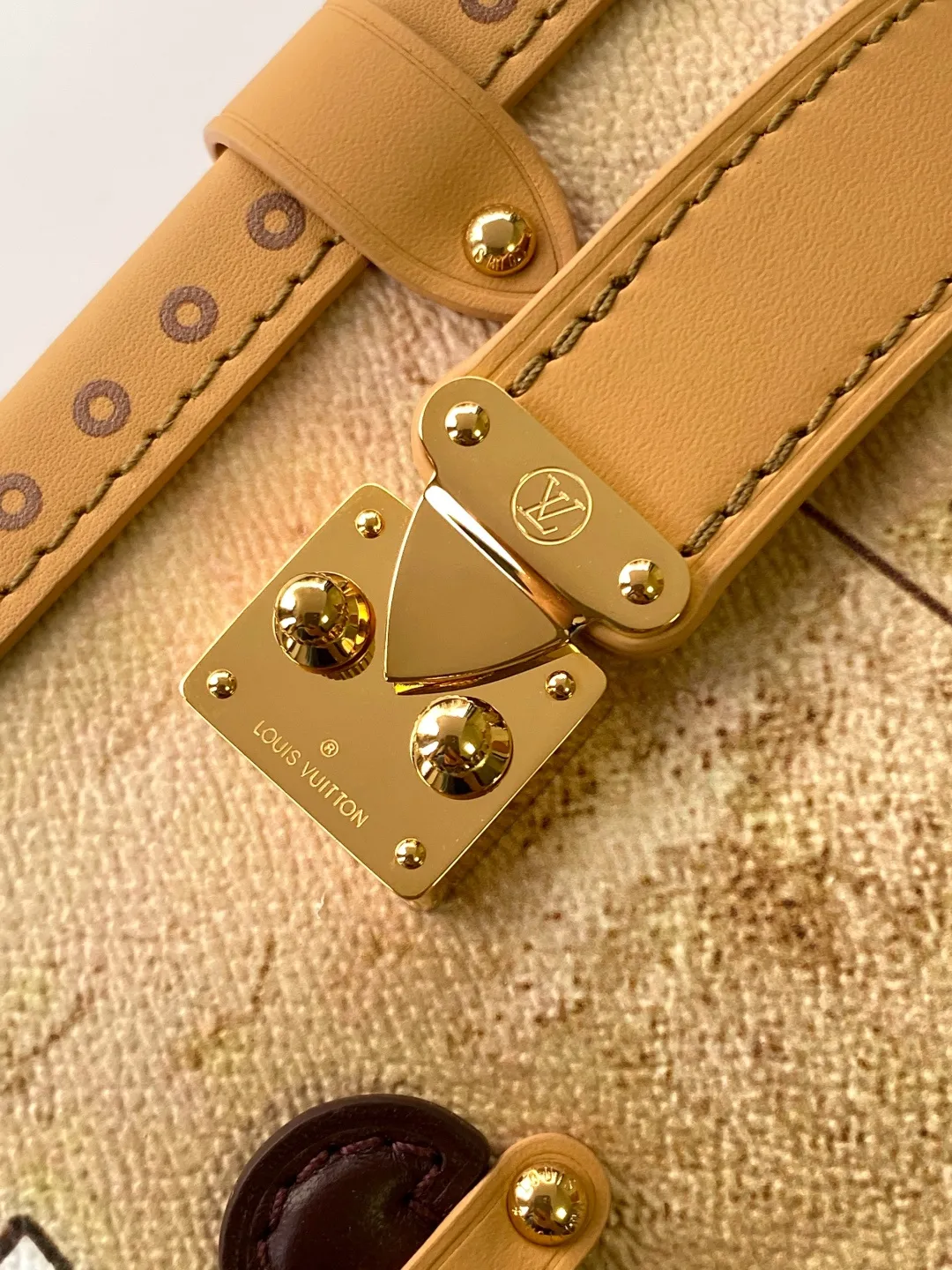Louis Vuitton Side Trunk MM M12480 - 图片 7
