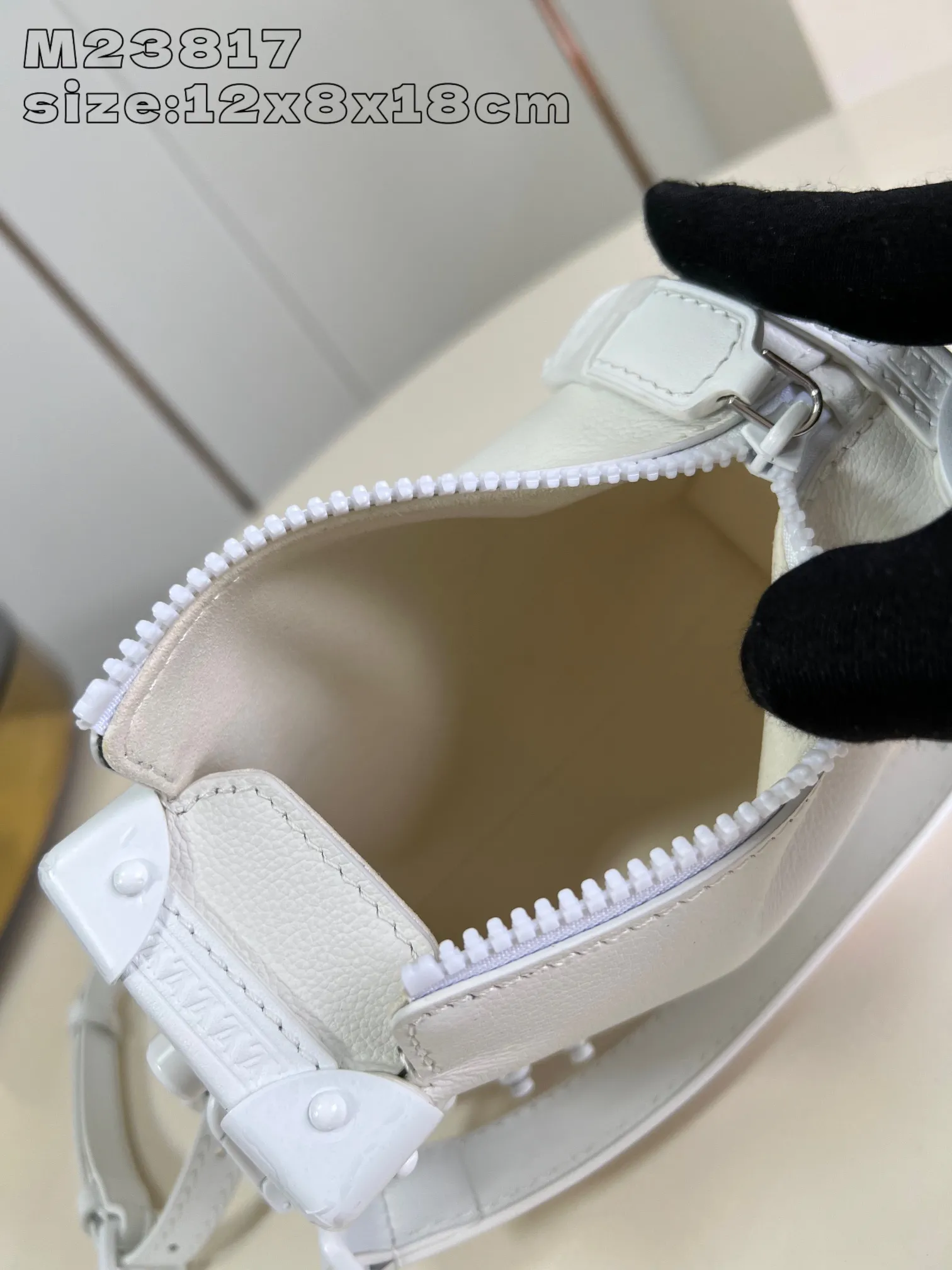 Louis Vuitton Side Trunk PM M24304 - 图片 10