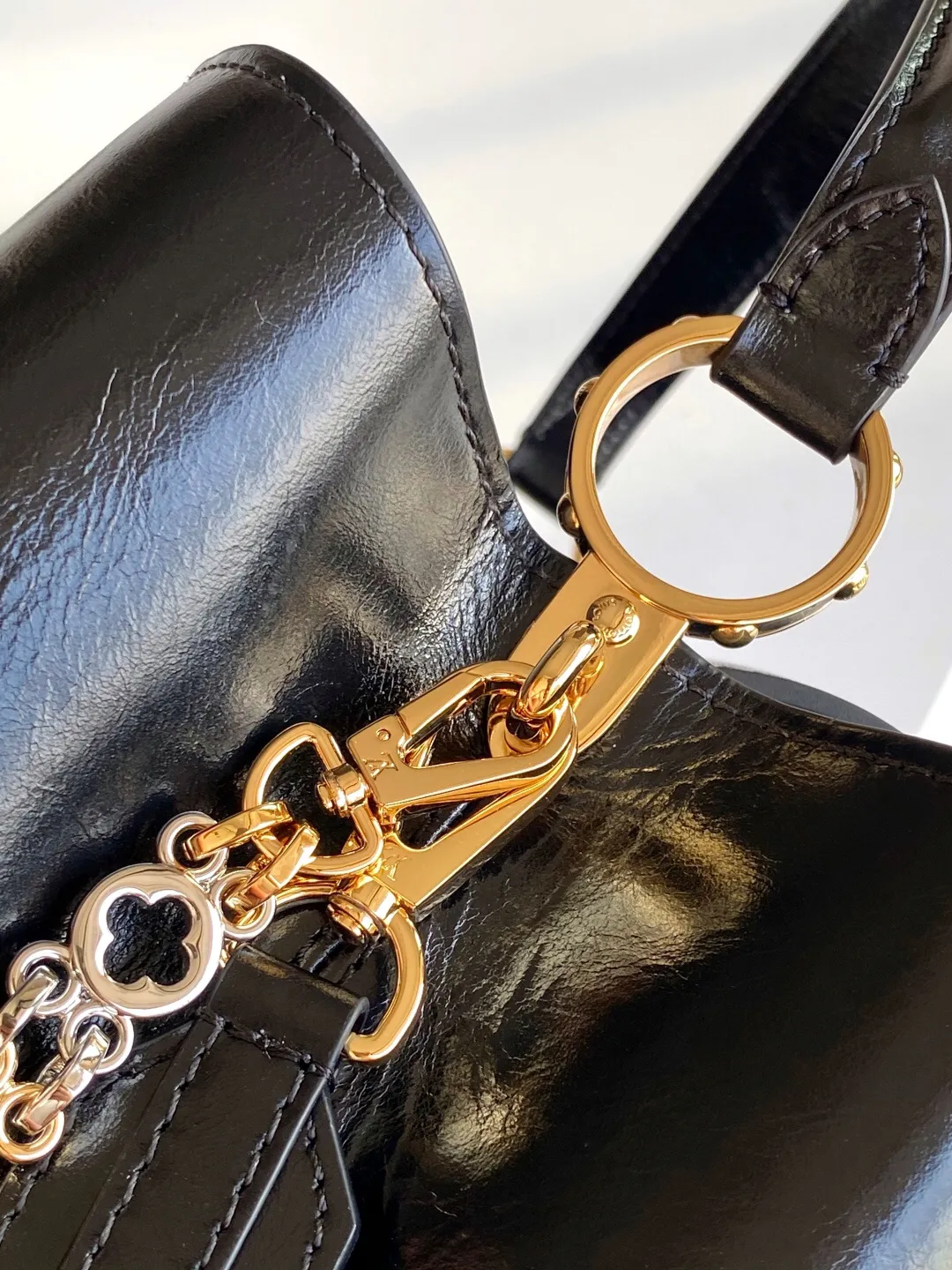 Louis Vuitton Capucines MM Souple M12924 - 图片 3
