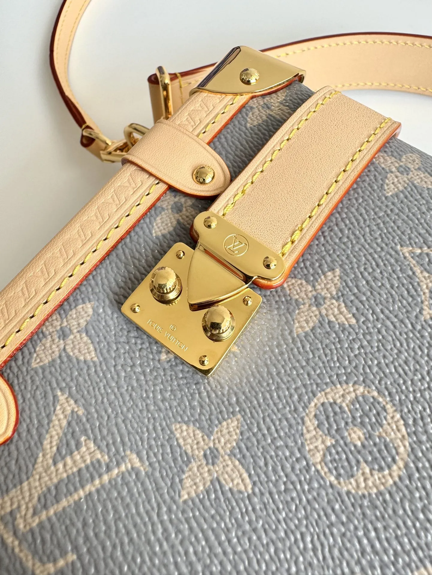 Louis Vuitton Side Trunk MM M12428 - 图片 7