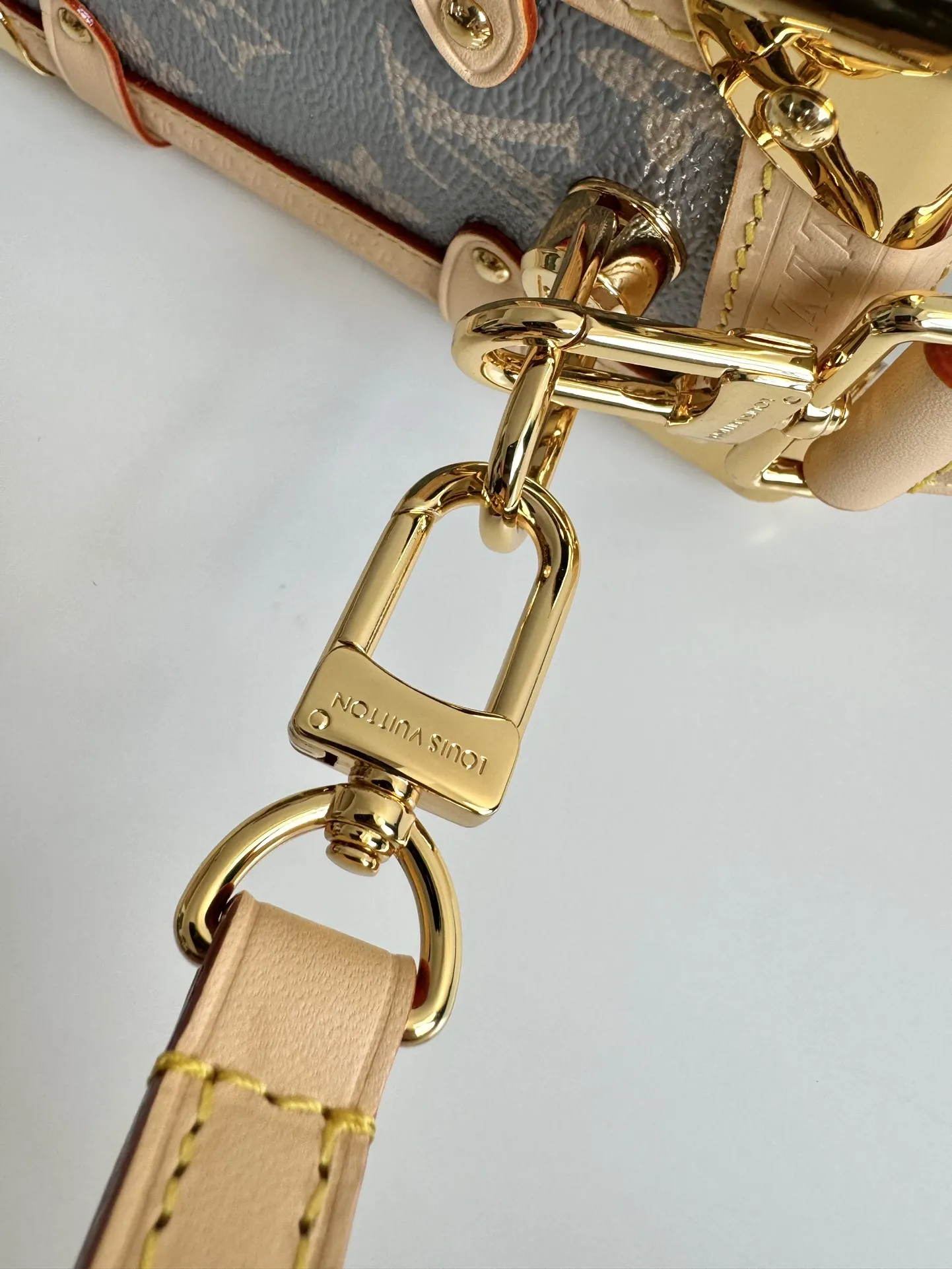 Louis Vuitton Side Trunk MM M12428 - 图片 9