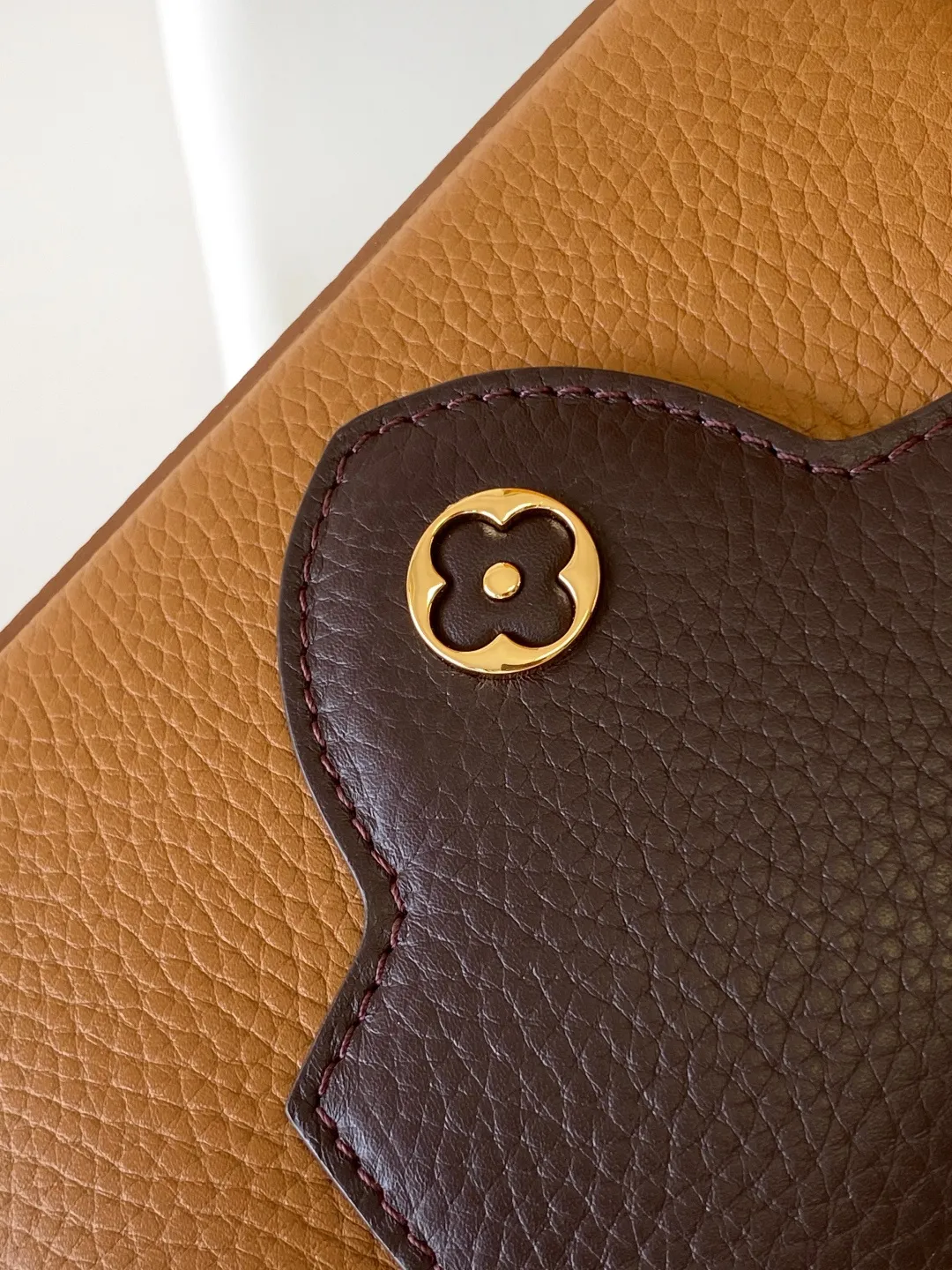 Louis Vuitton Capucines Mini M14176 - 图片 9