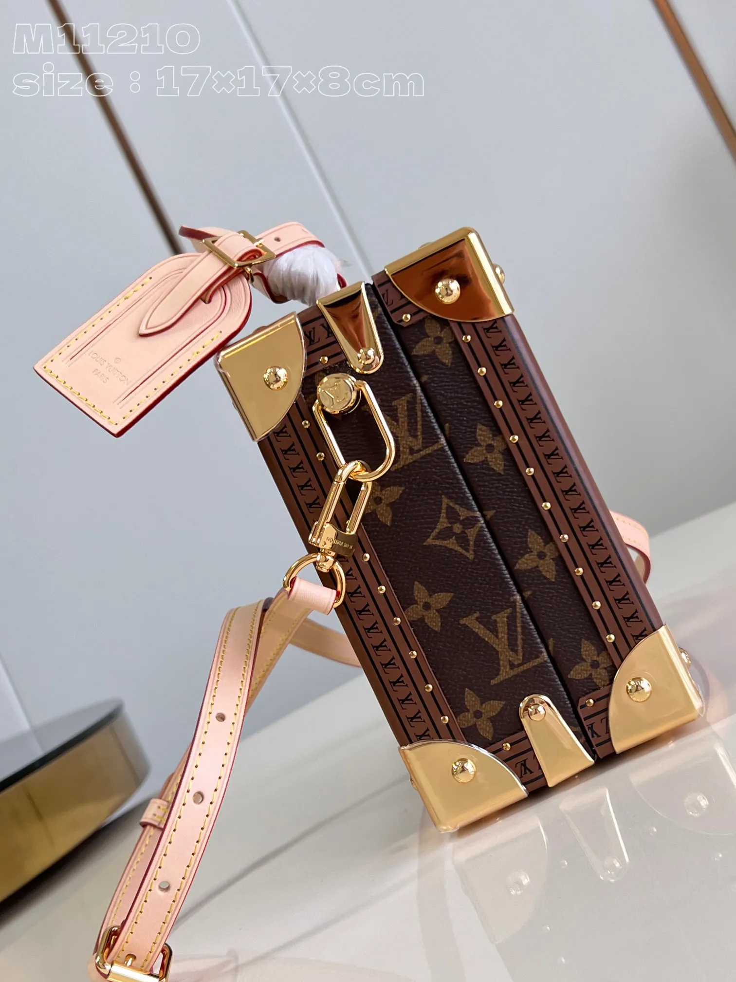 Louis Vuitton Mini Square Trunk Leopard M11210 - 图片 5