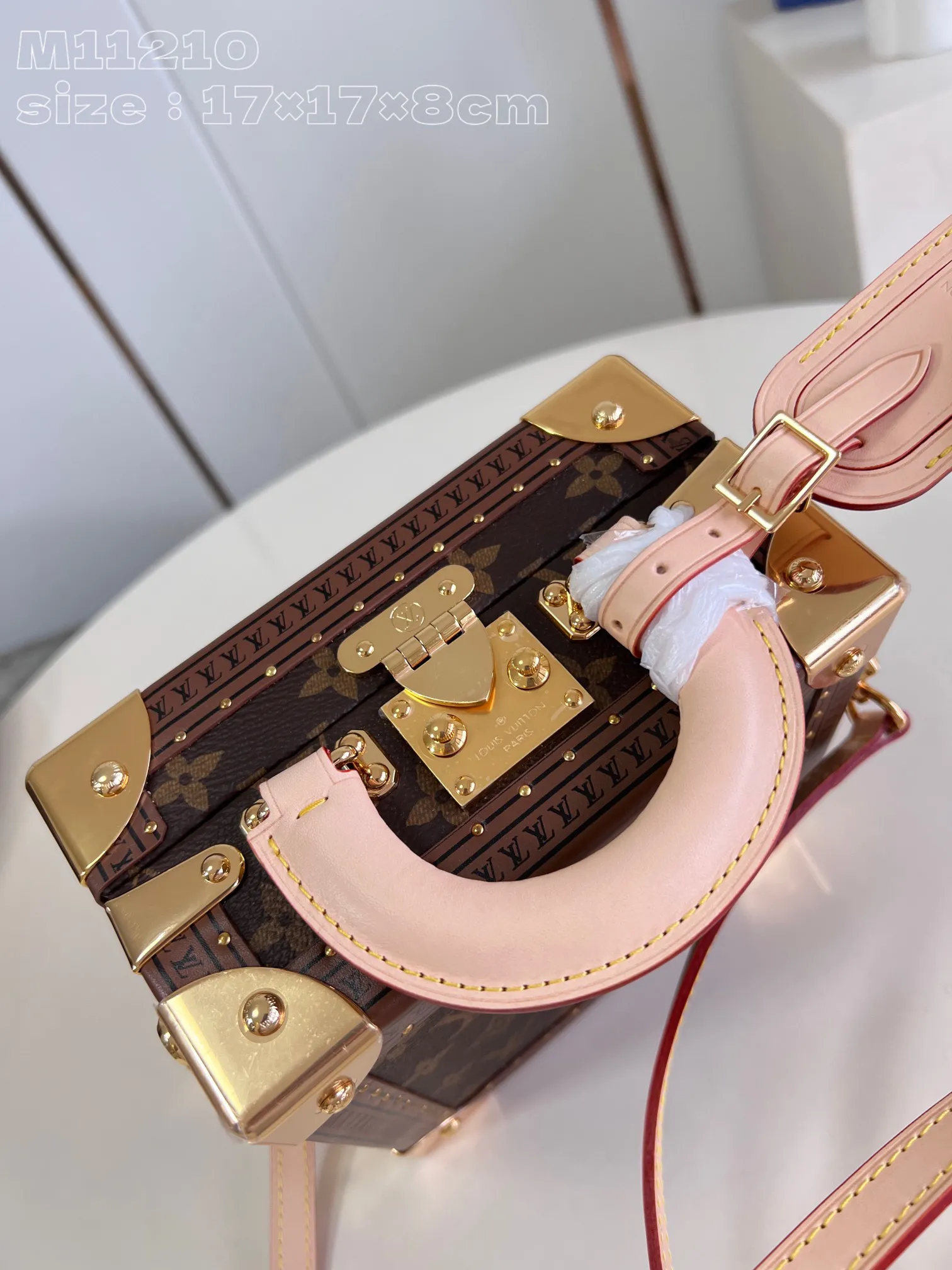 Louis Vuitton Mini Square Trunk Leopard M11210 - 图片 8