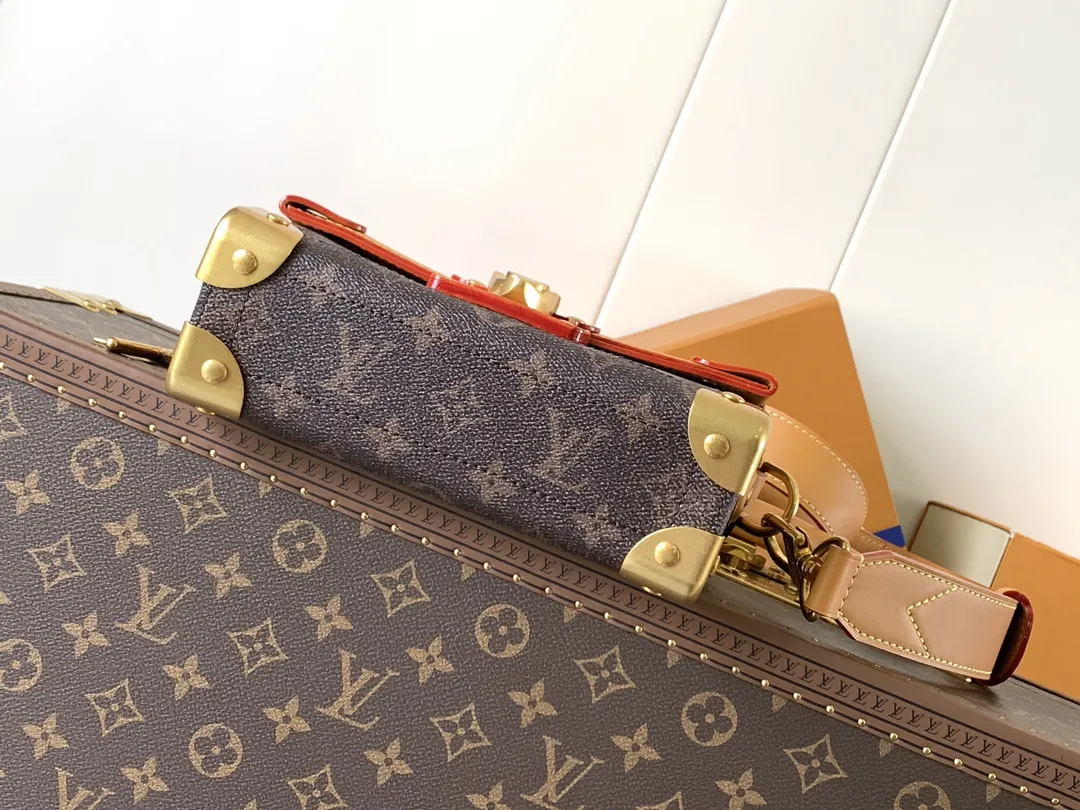 Louis Vuitton Soul Trunk M11535 - 图片 4