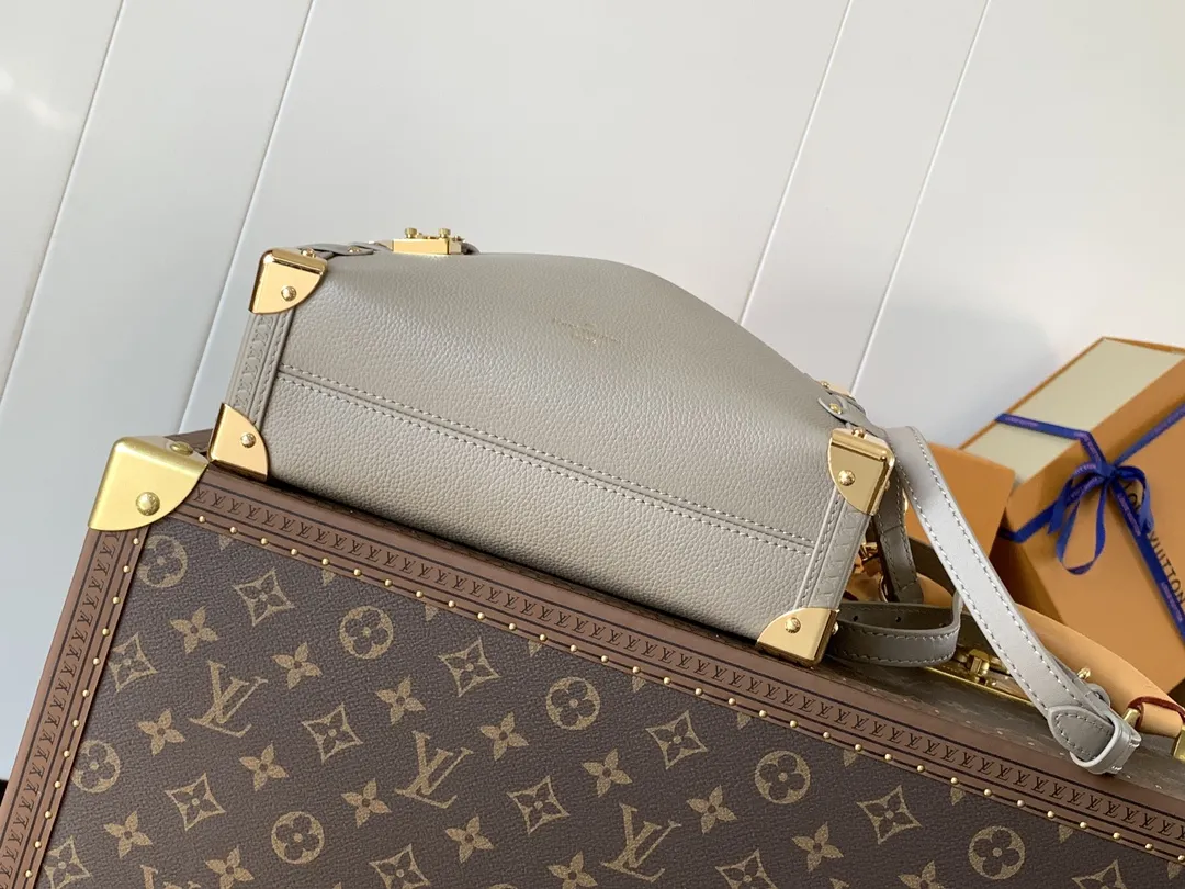 Louis Vuitton Side Trunk MM M25072 - 图片 6