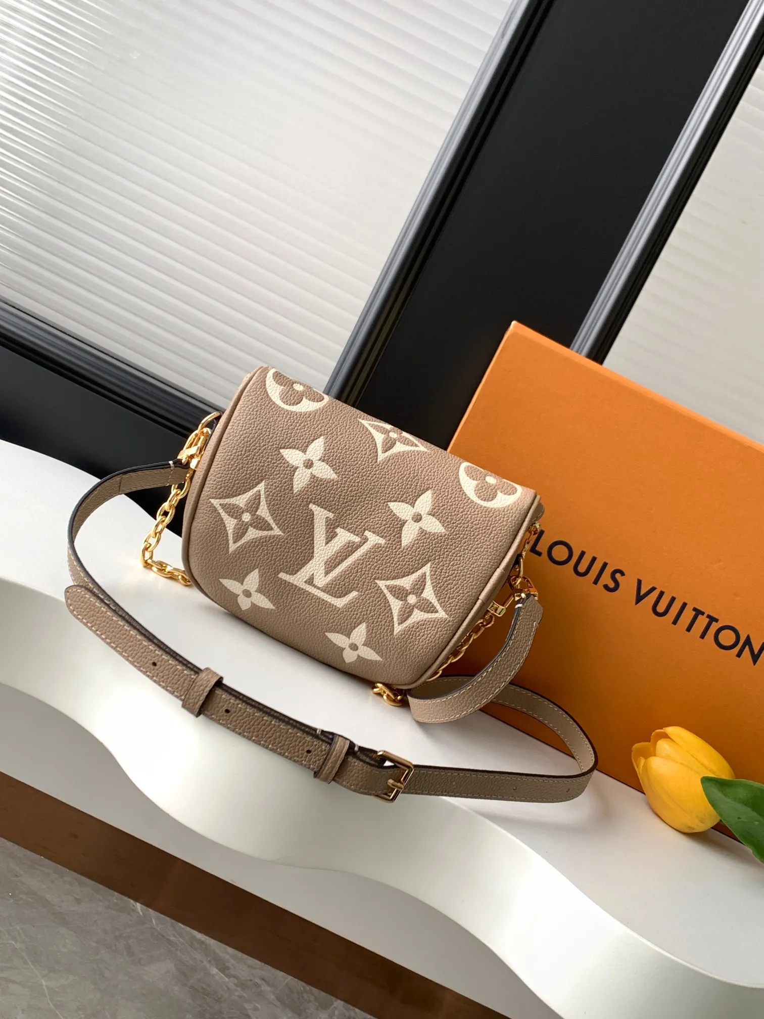 Louis Vuitton Mini Bumbag M83219 - Image 5