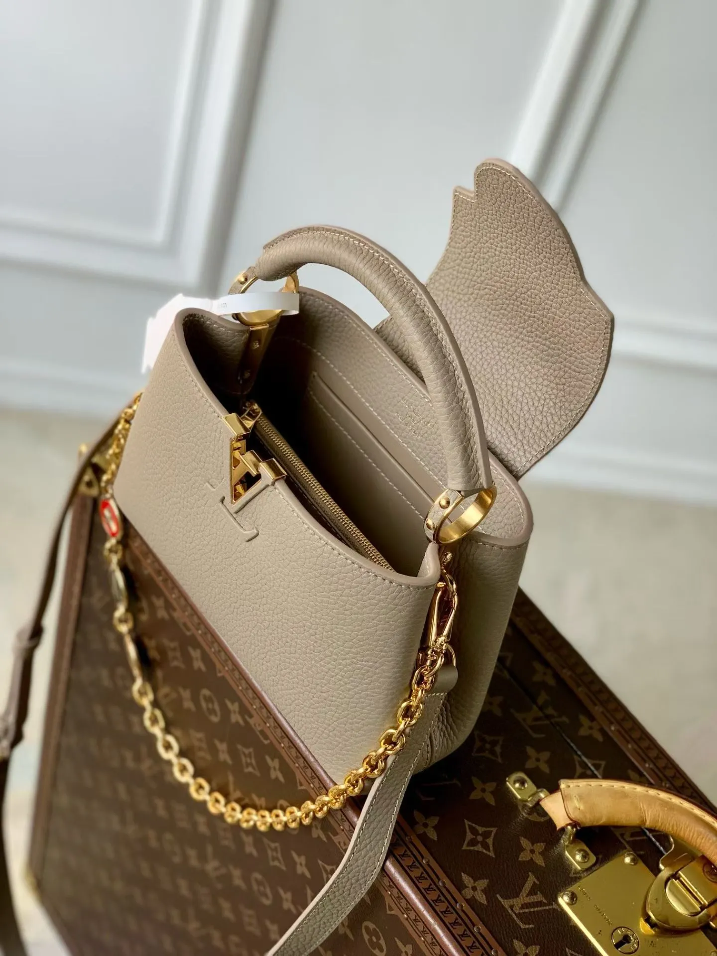 Louis Vuitton My Capucines K00014 - 图片 10