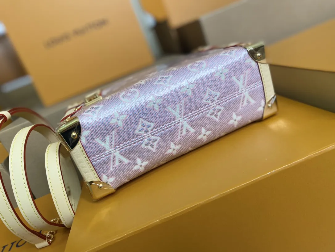 Louis Vuitton Side TRUNK M22842 - 图片 5