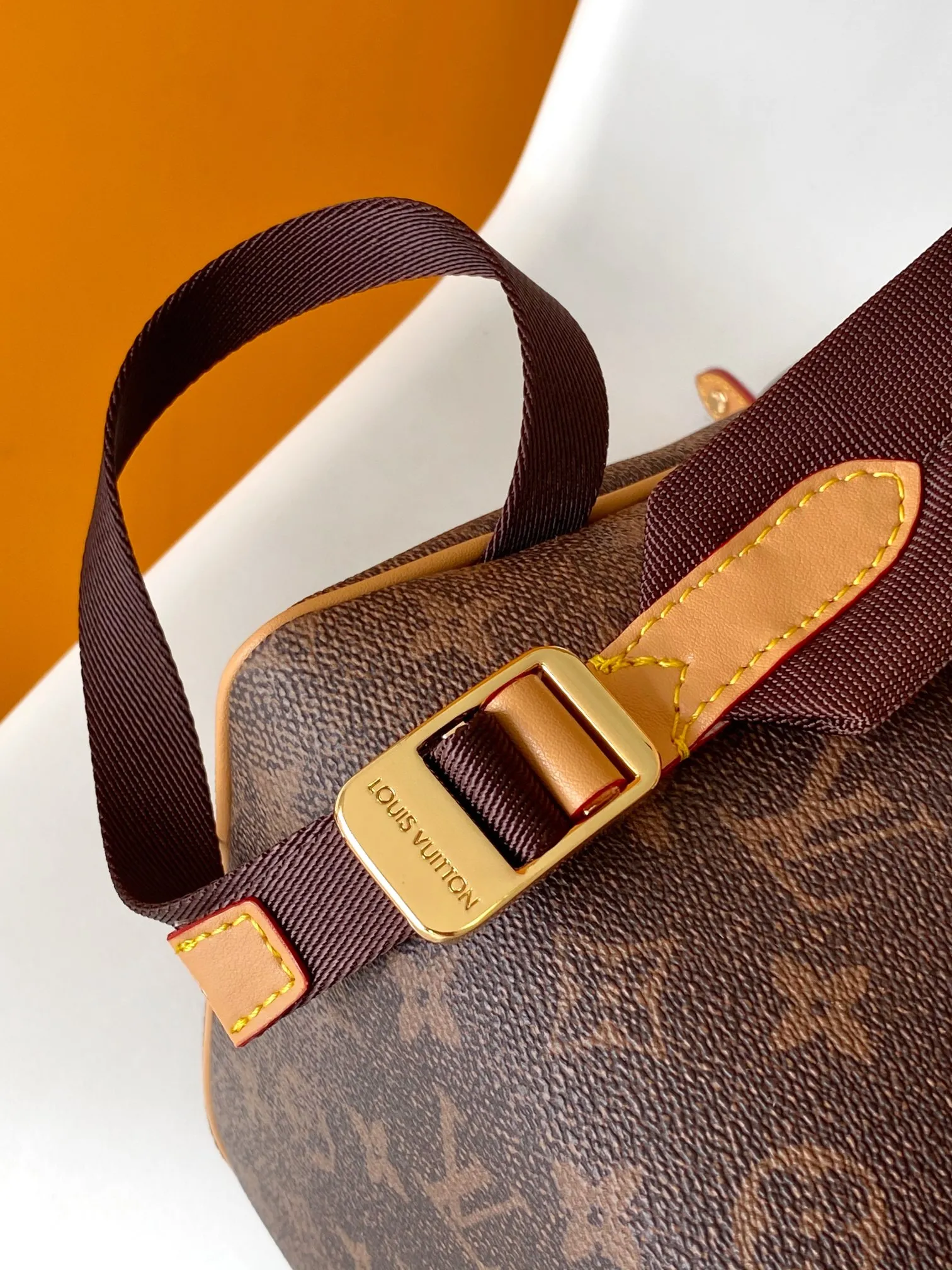 Louis Vuitton Montsouris Backpack M11540 - 图片 5