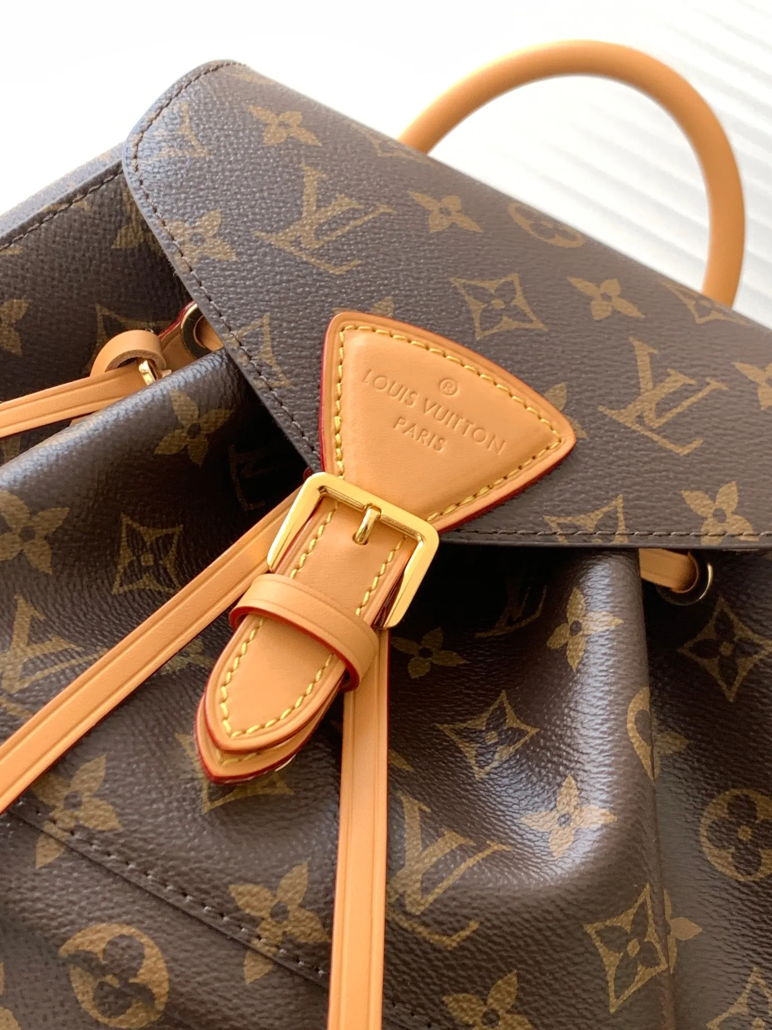 Louis Vuitton Montsouris PM M45501 - 图片 3