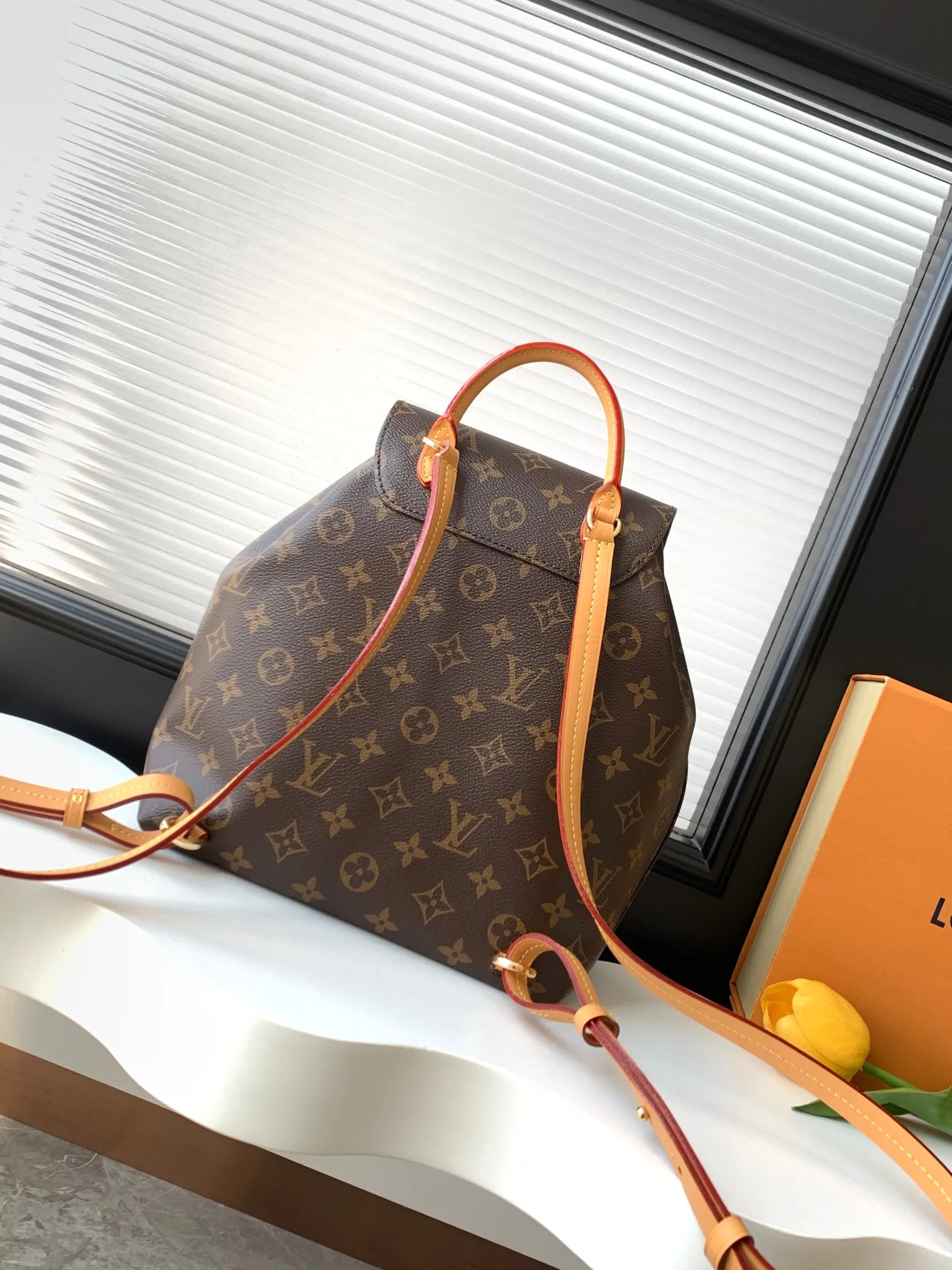Louis Vuitton Montsouris PM M45501 - 图片 10