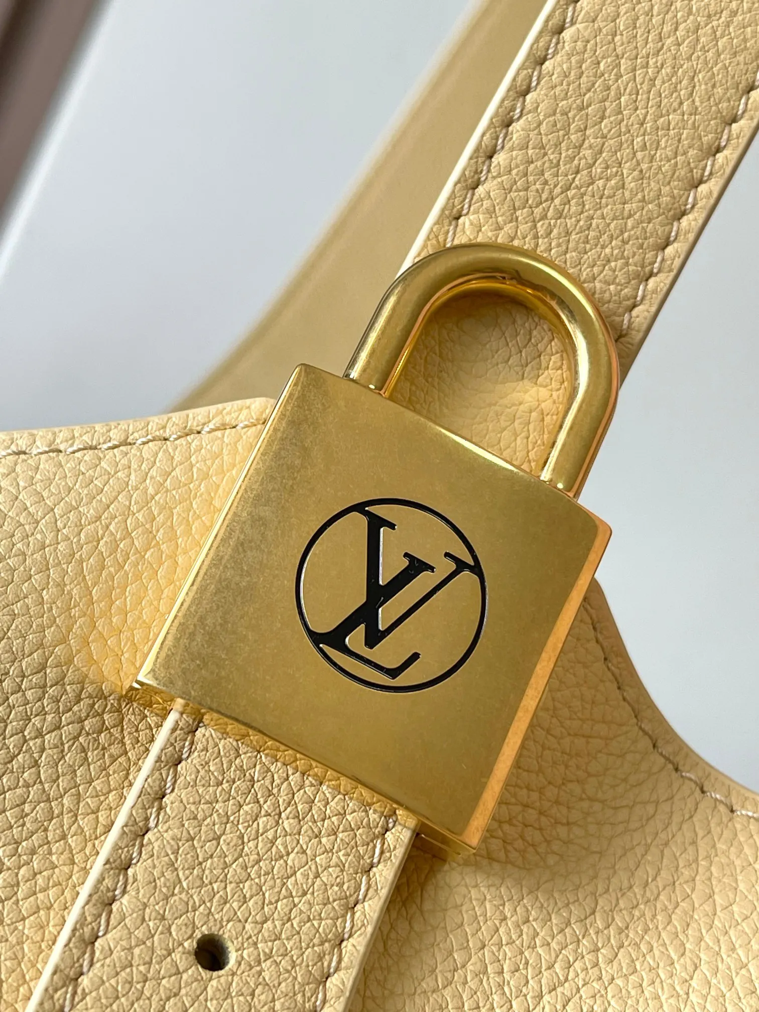 Louis Vuitton Low Key Hobo PM M25353 - 图片 9