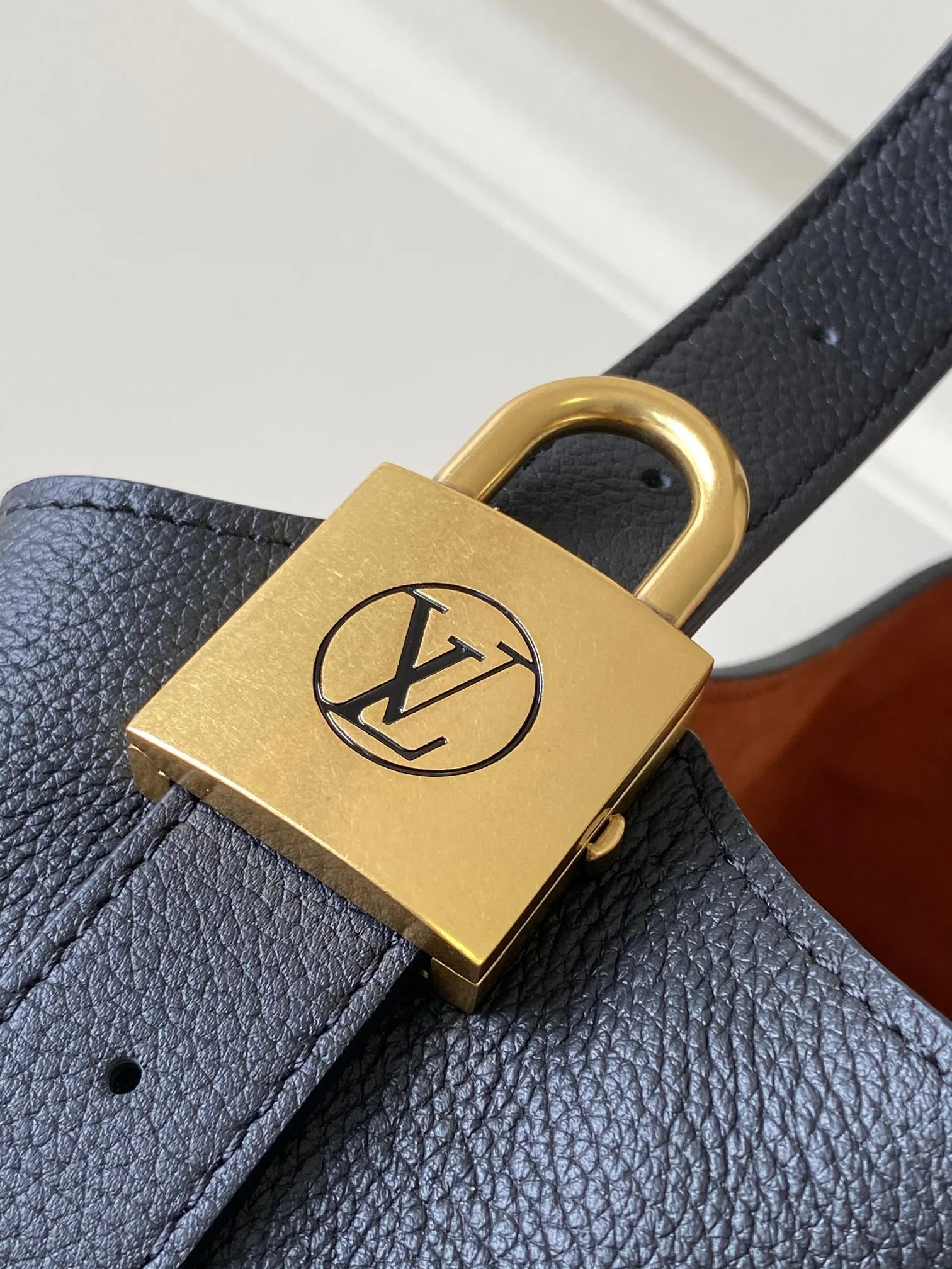 Louis Vuitton Low Key Hobo PM M25352 - 图片 6
