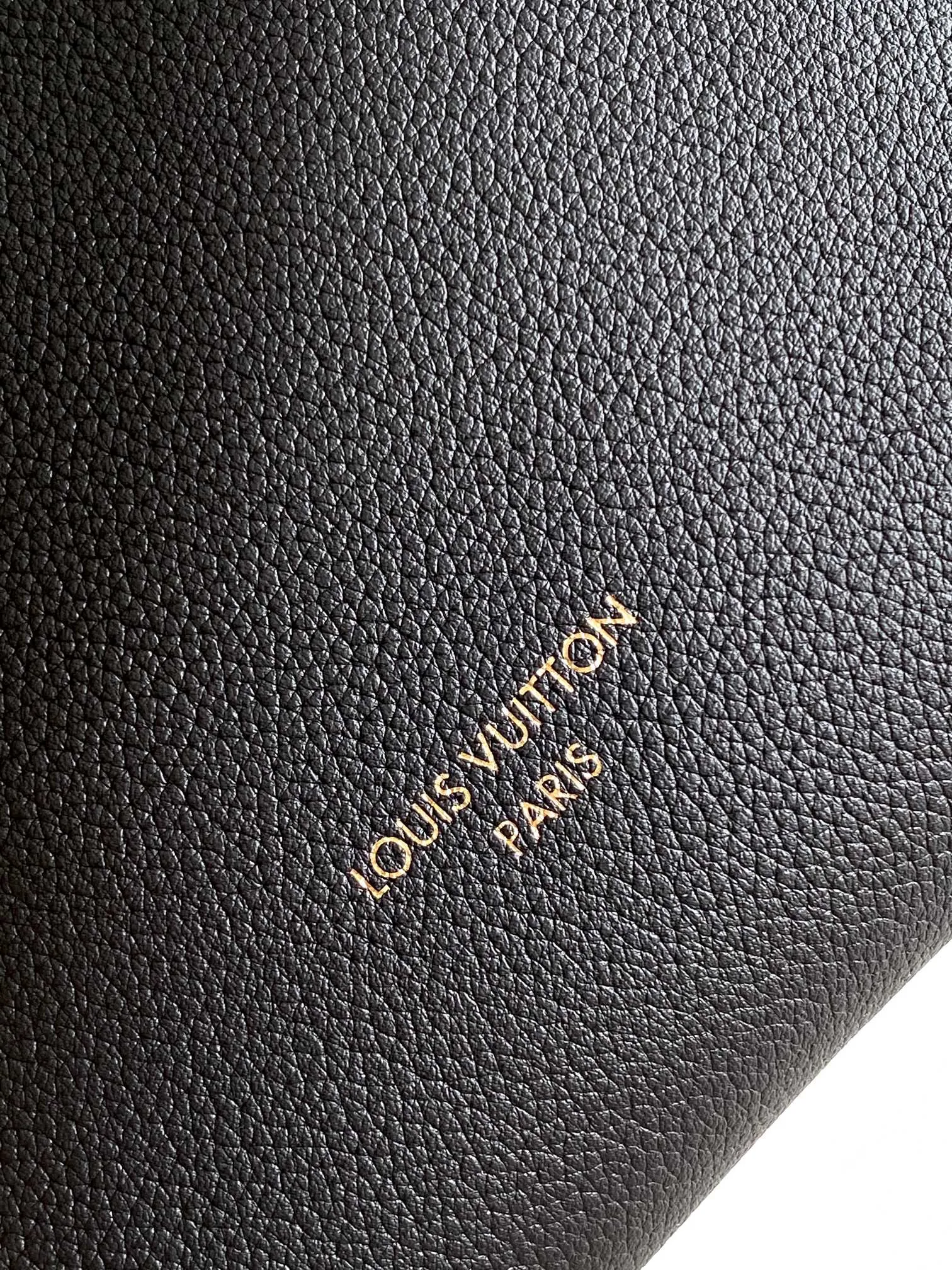 Louis Vuitton Low Key Hobo PM M25352 - 图片 7