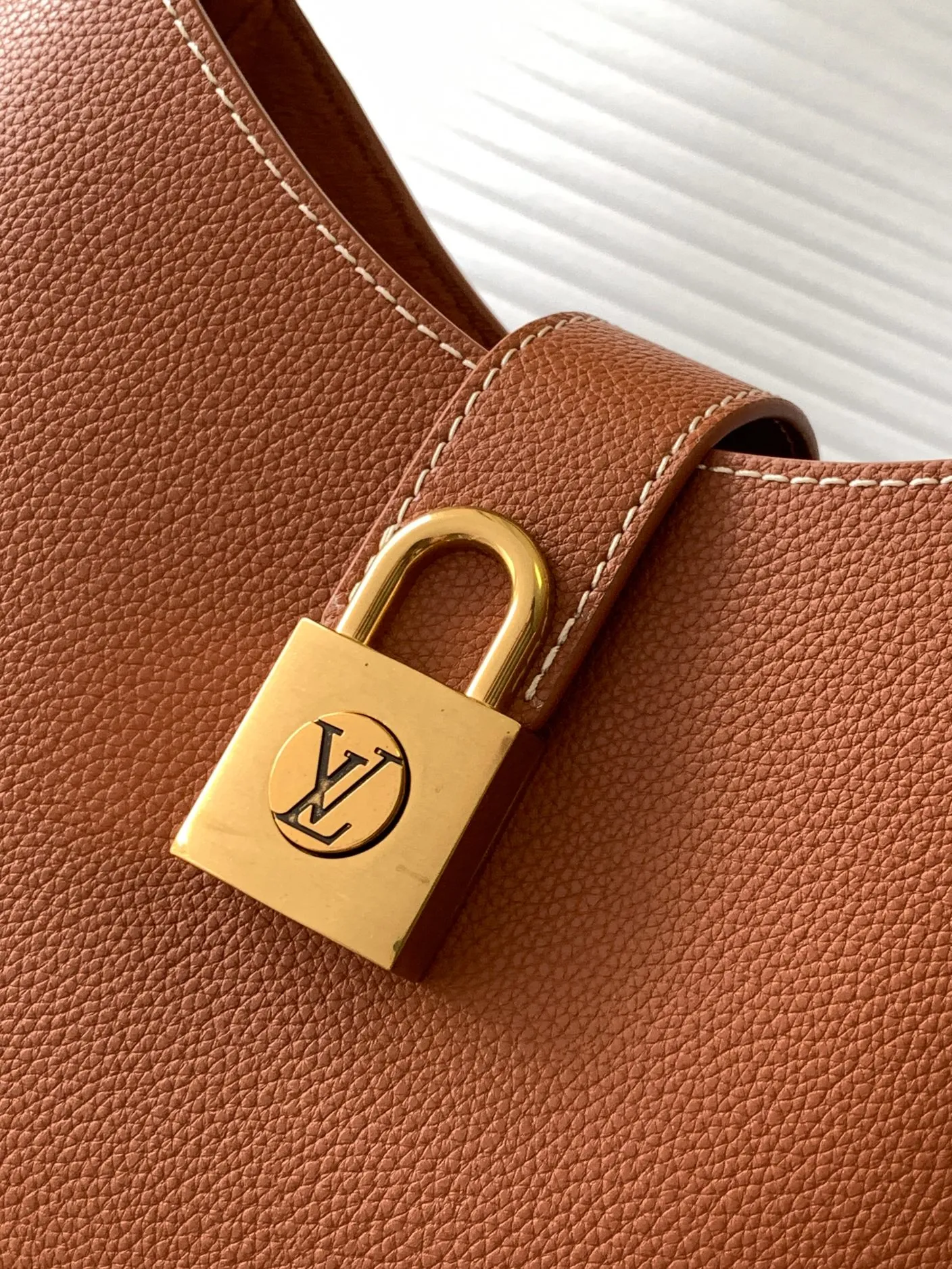 Louis Vuitton Low Key Shoulder Bag M24885 - 图片 16