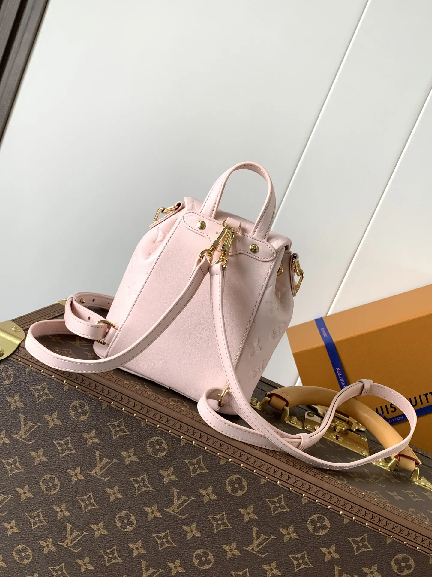 Louis Vuitton Coussin Backpack Mini M13389 - 图片 5