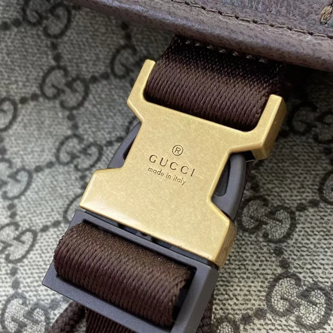 Gucci Ophidia small backpack 839109 - 图片 8