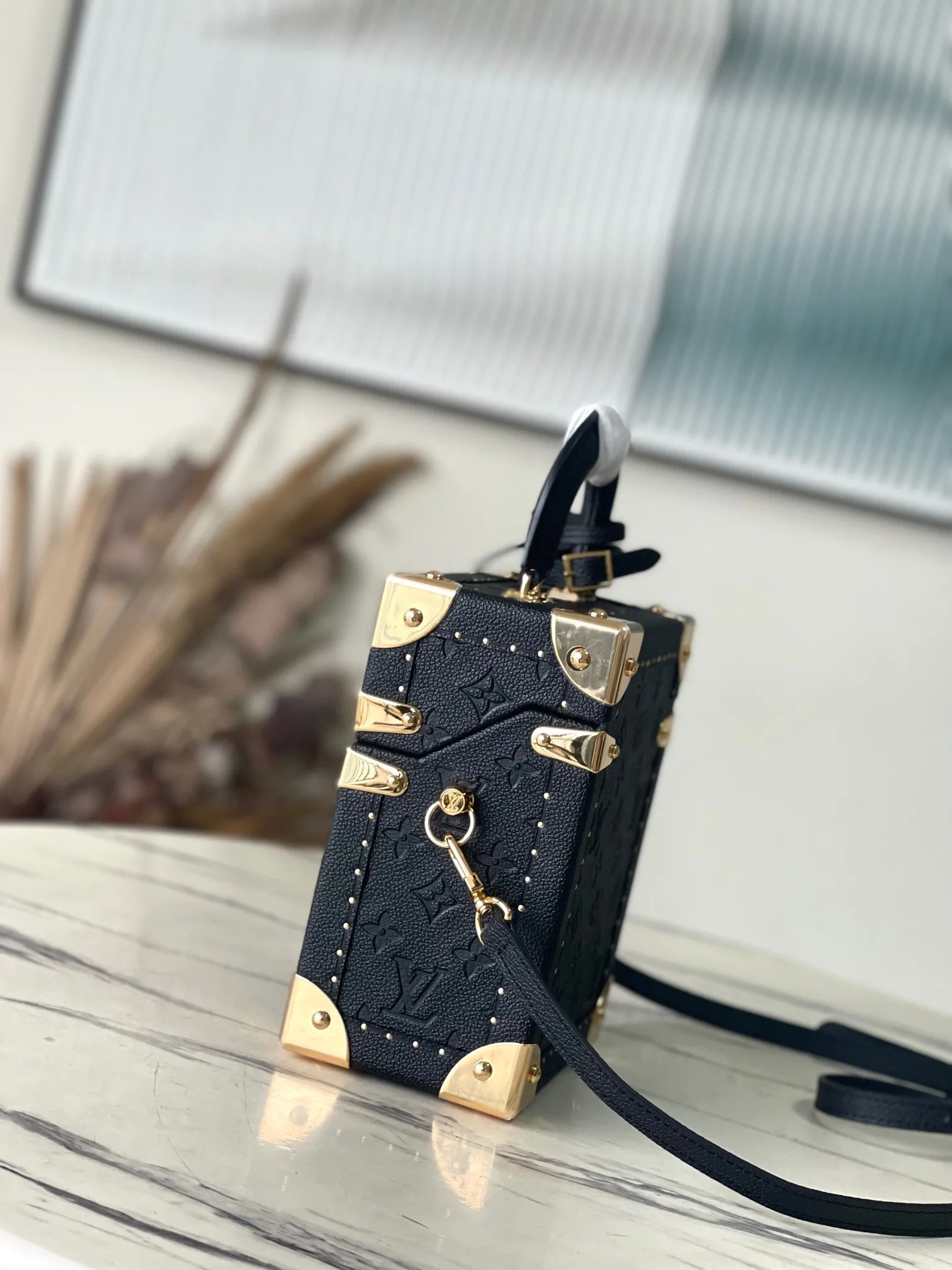 Louis Vuitton Camera Box M11131 - 图片 4