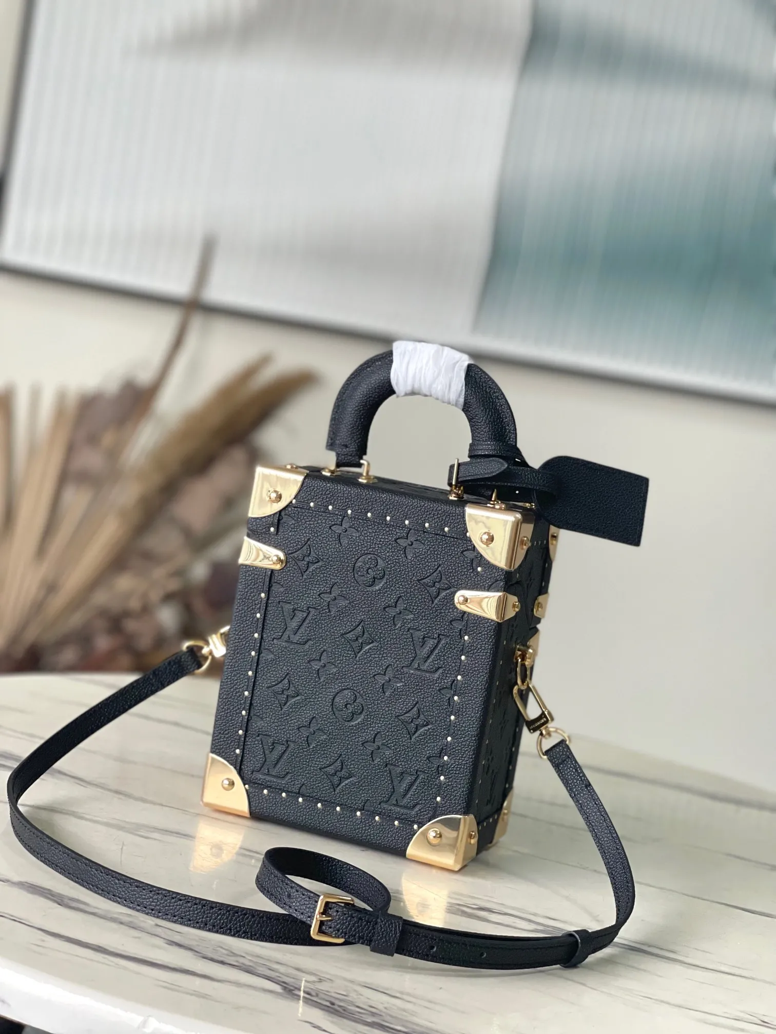 Louis Vuitton Camera Box M11131 - 图片 5