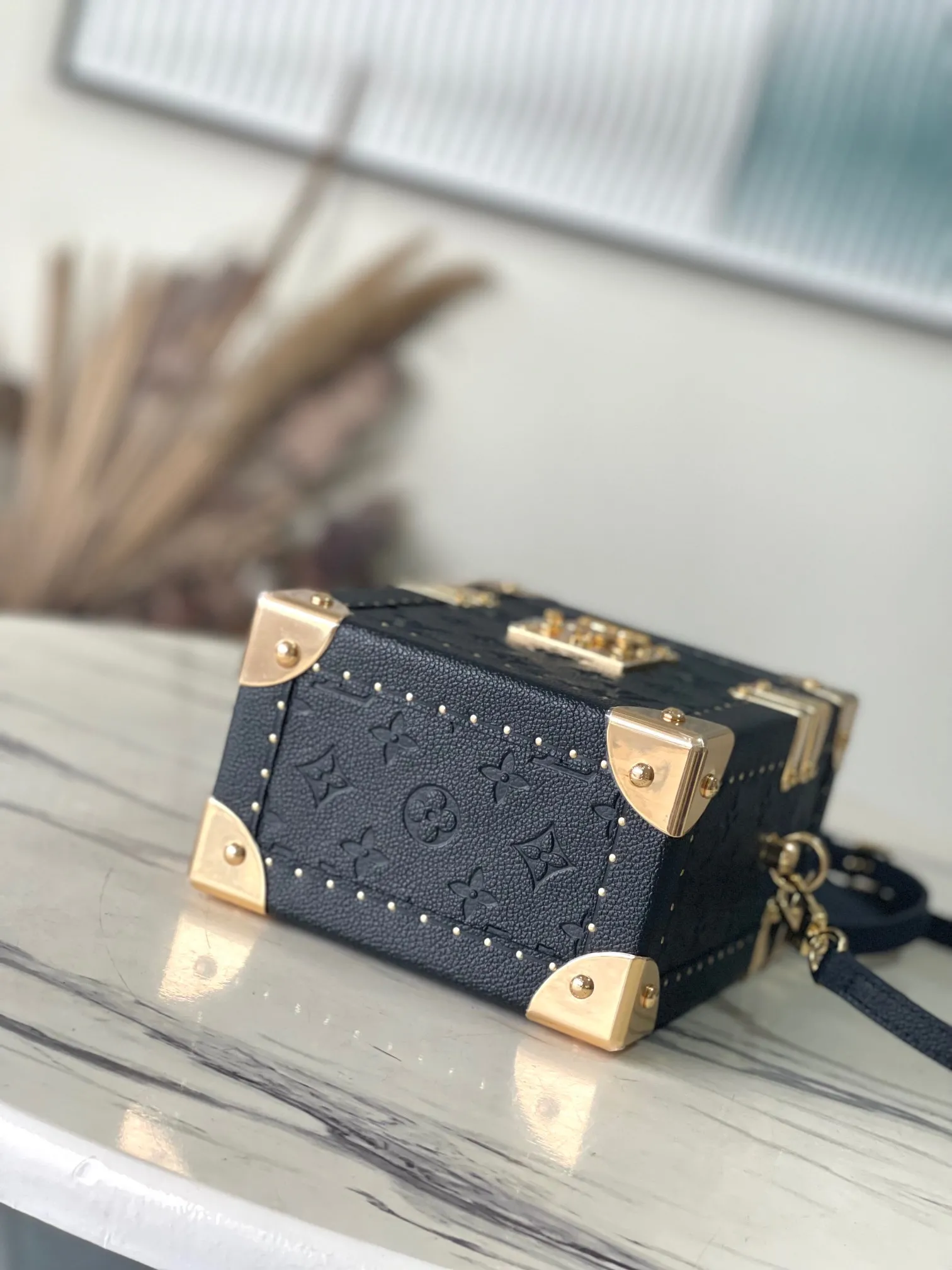 Louis Vuitton Camera Box M11131 - 图片 6
