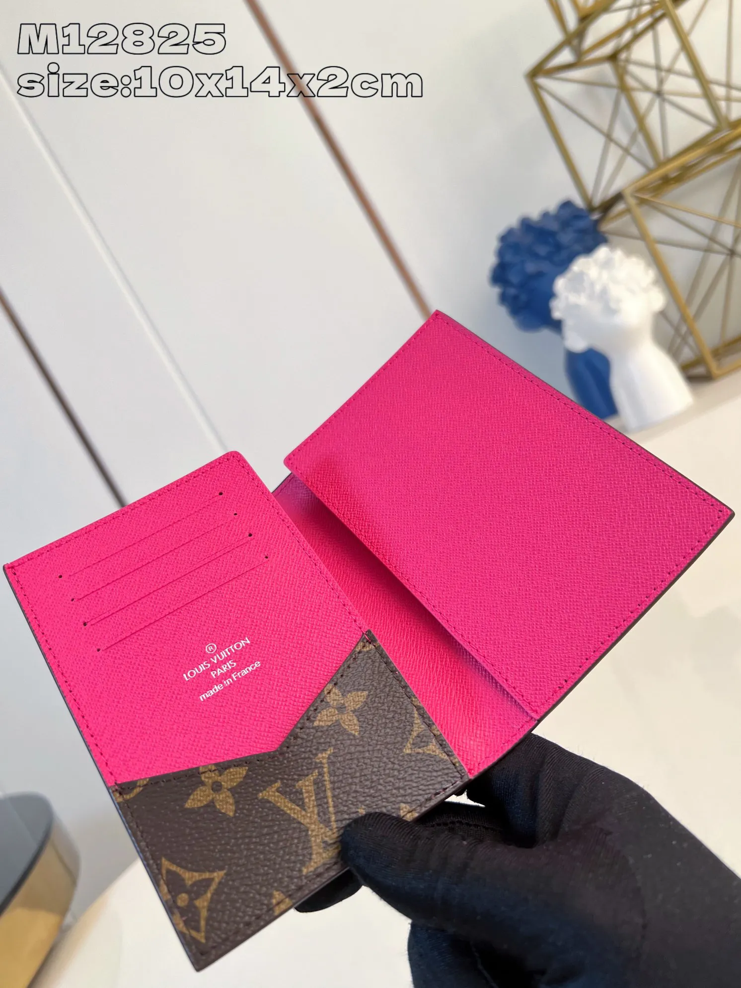 Louis Vuitton Passport Cover M12825 - Image 8