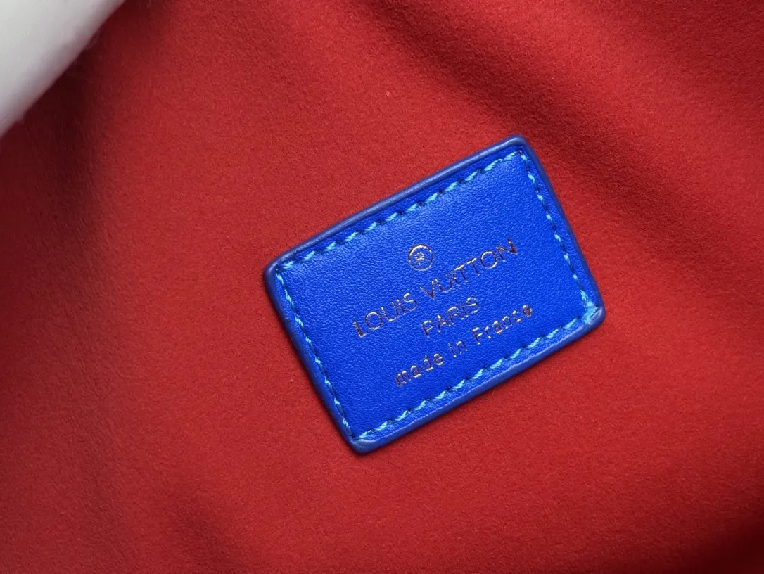 Louis Vuitton Coussin PM M58626 - 图片 10