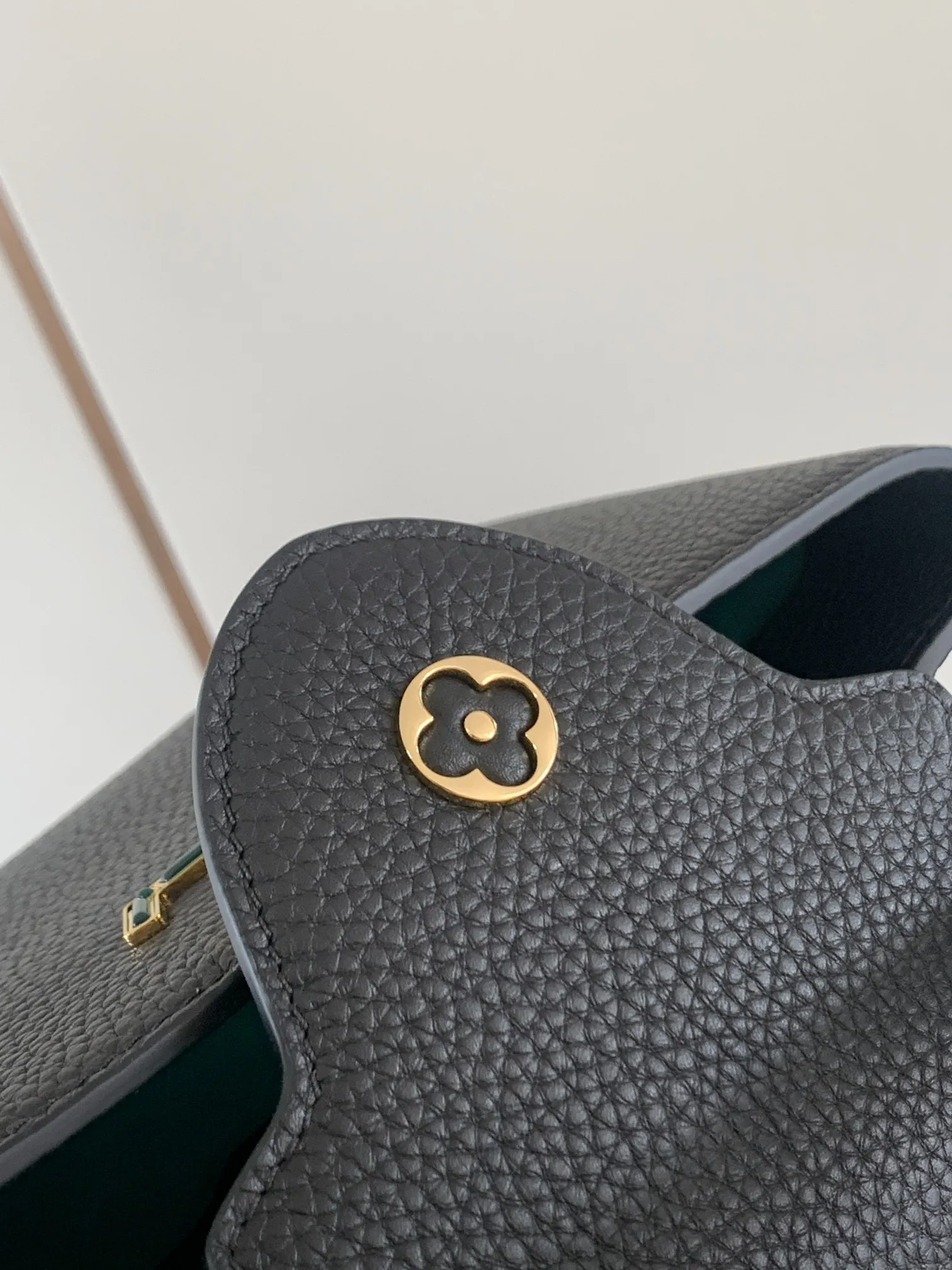 Louis Vuitton Capucines BB M59066 - 图片 8