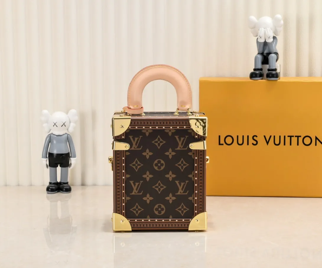 Louis Vuitton Camera Box M10079 - 图片 7