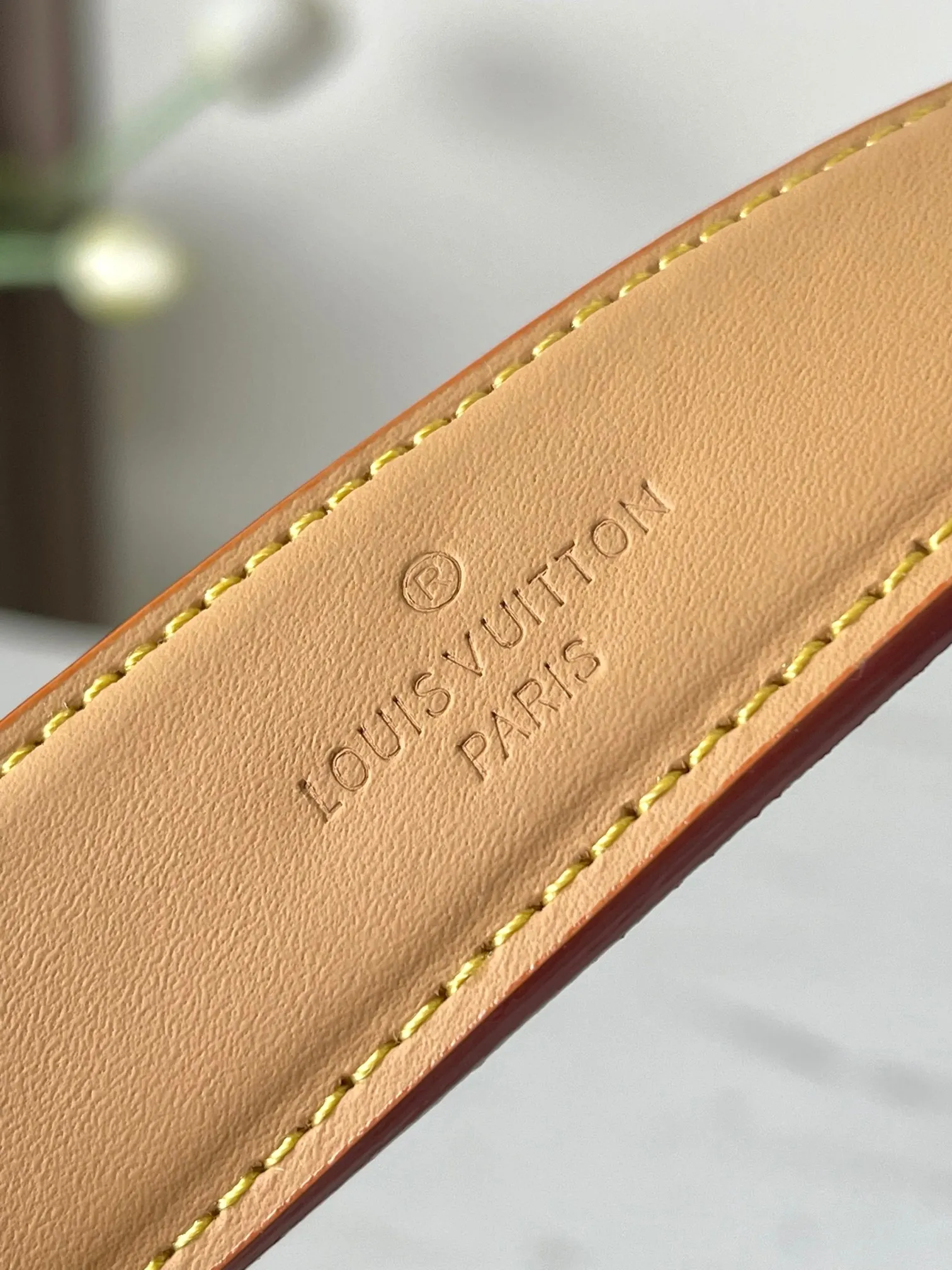 Louis Vuitton Side Trunk MM M26287 - 图片 9