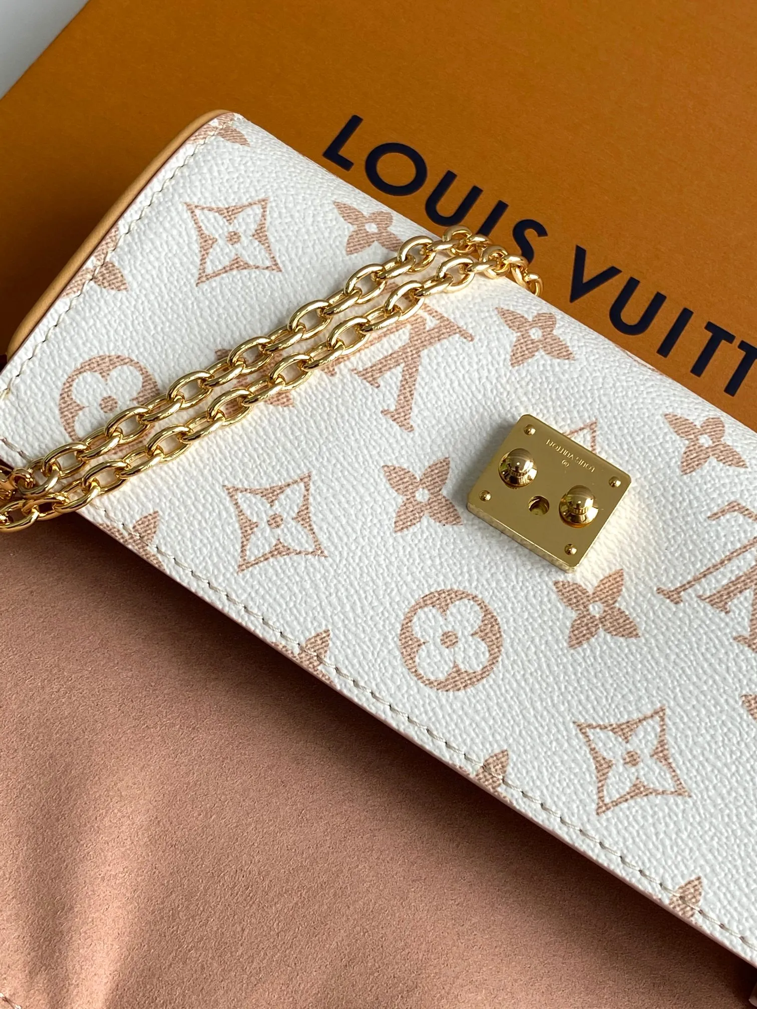 Louis Vuitton Pochette Camille M26583 - 图片 9
