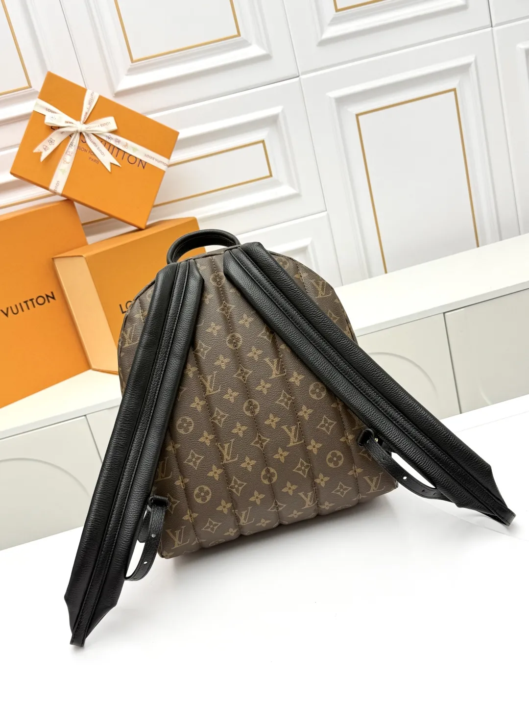 Louis Vuitton Palm Springs MM M44874 - 图片 5