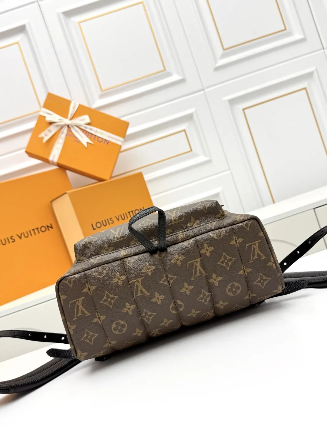 Louis Vuitton Palm Springs MM M44874 - 图片 6